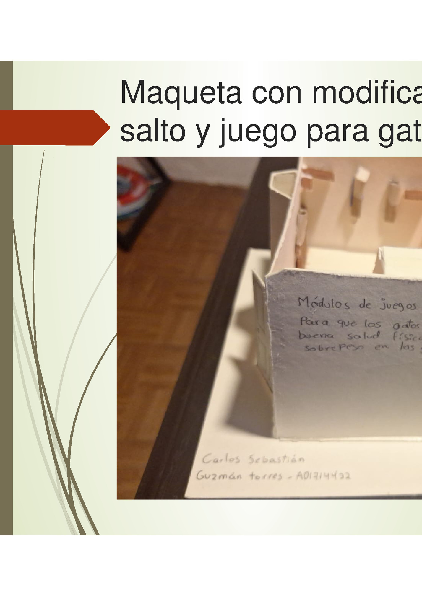 Maqueta con modificaciones. Módulos de 