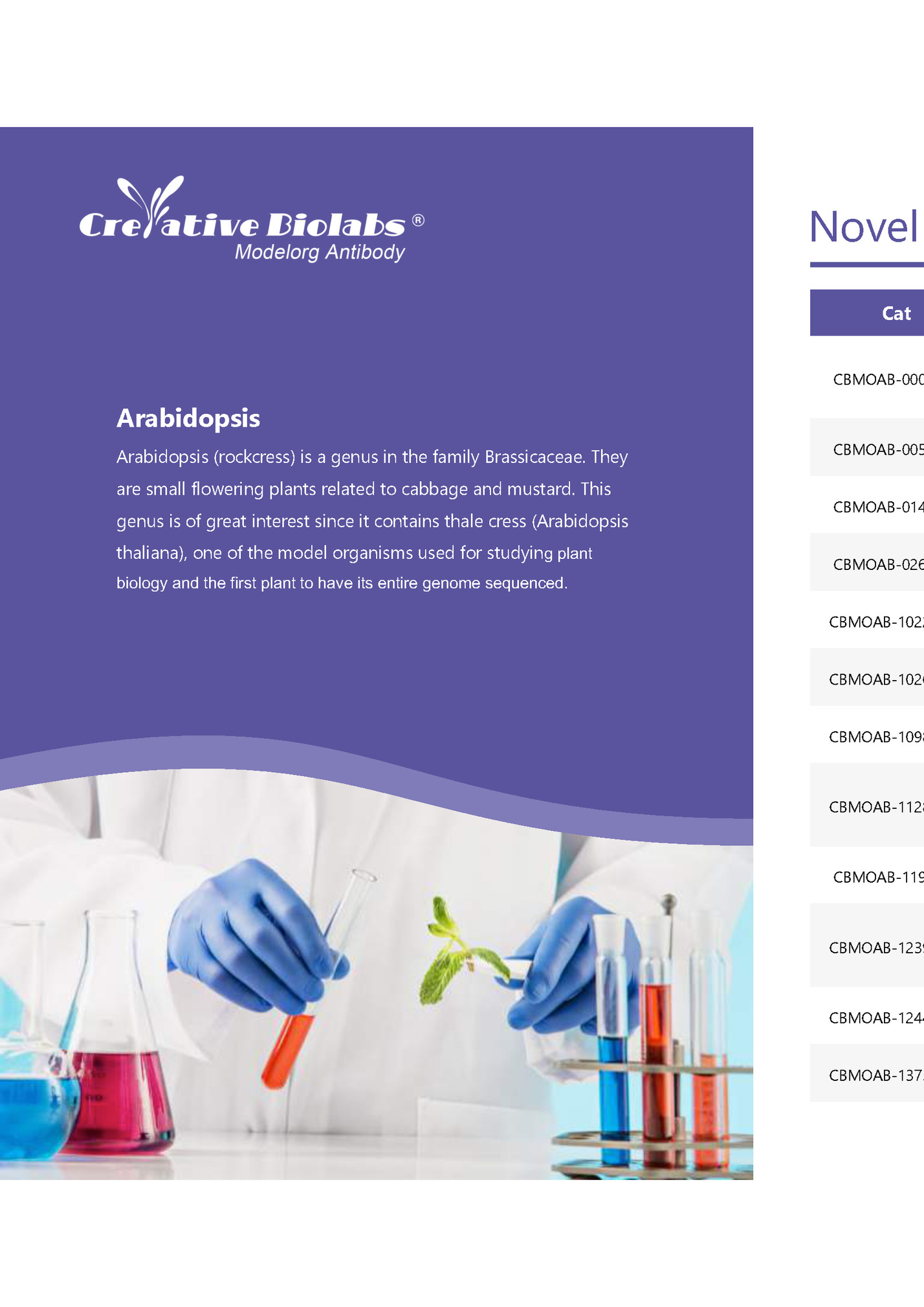 Novel Model Organism Antibody Products