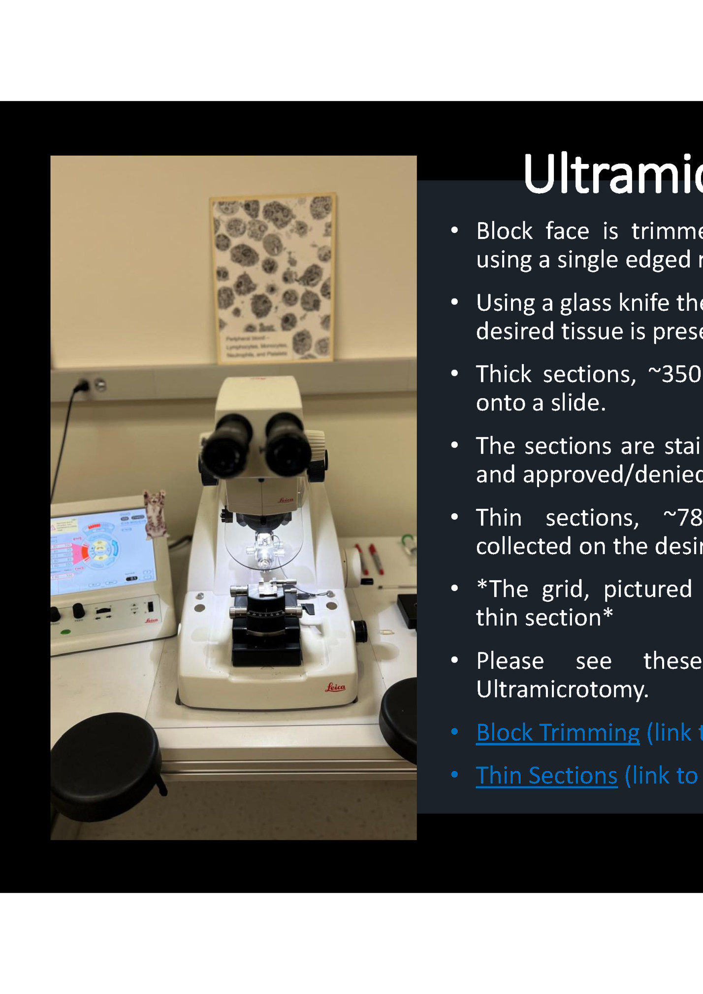 Ultramicrotomy