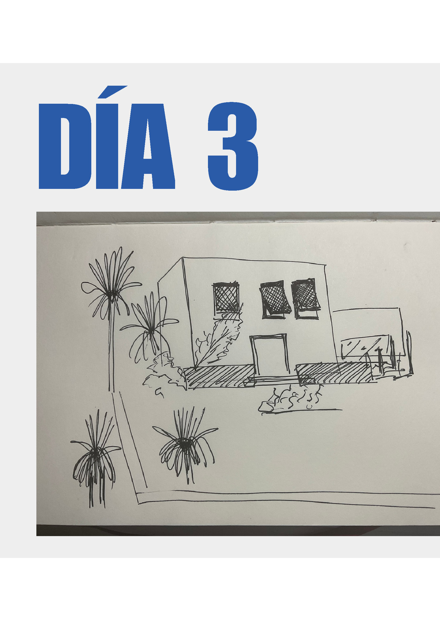 DÍA 3