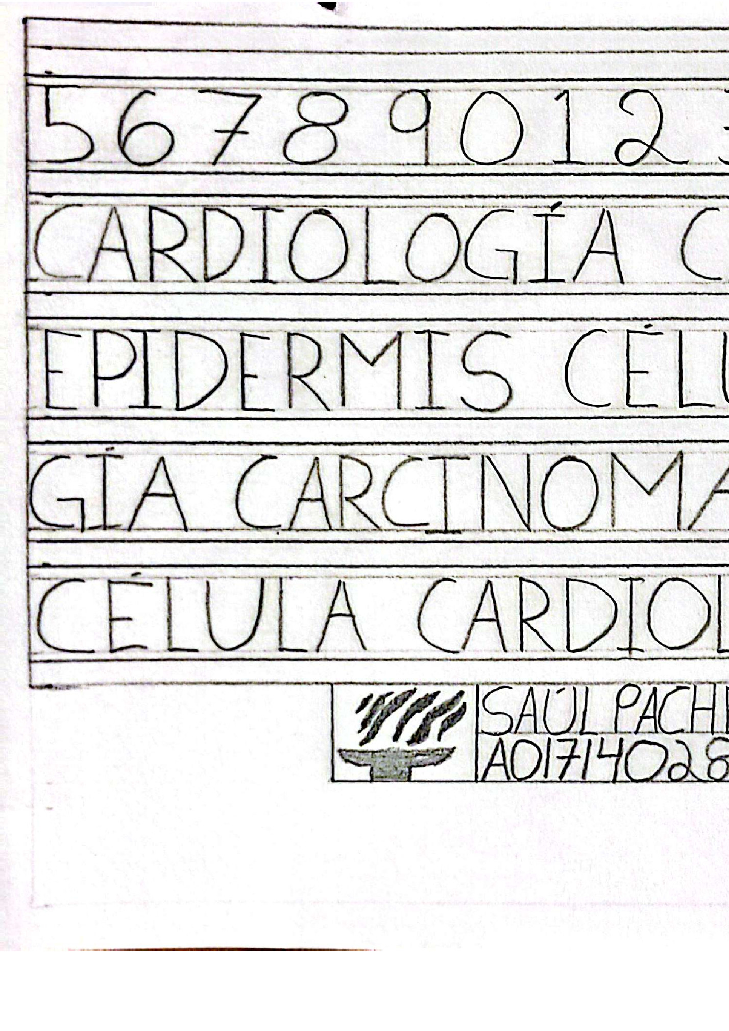 CamScanner