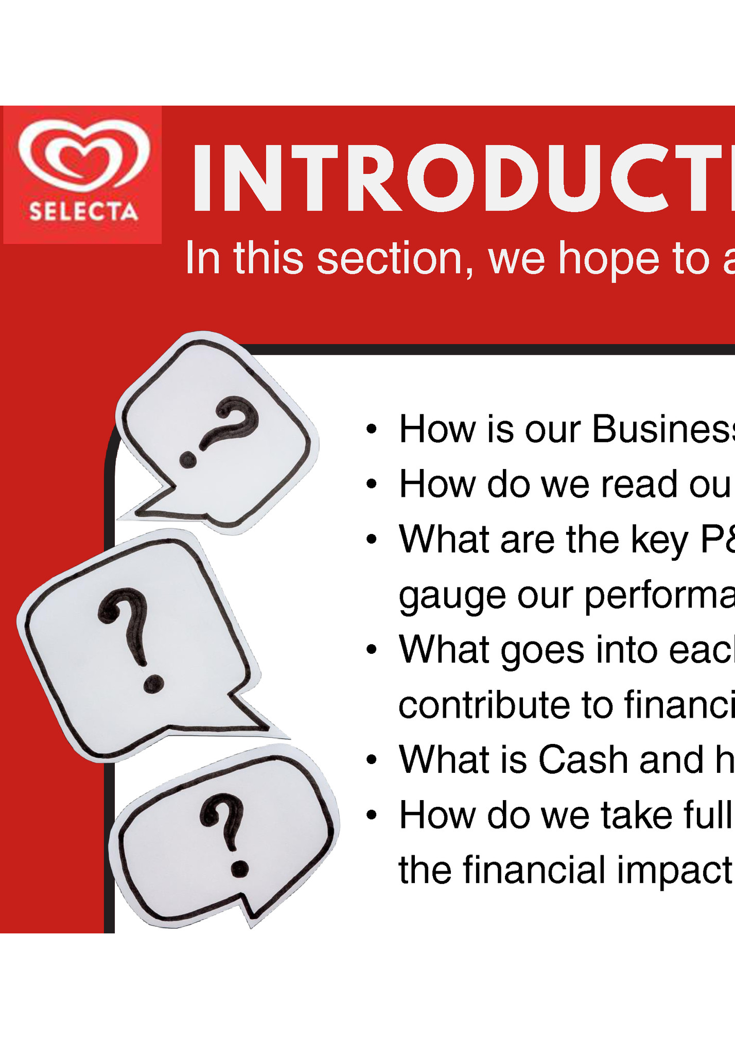 INTRODUCTION TO THE P&L