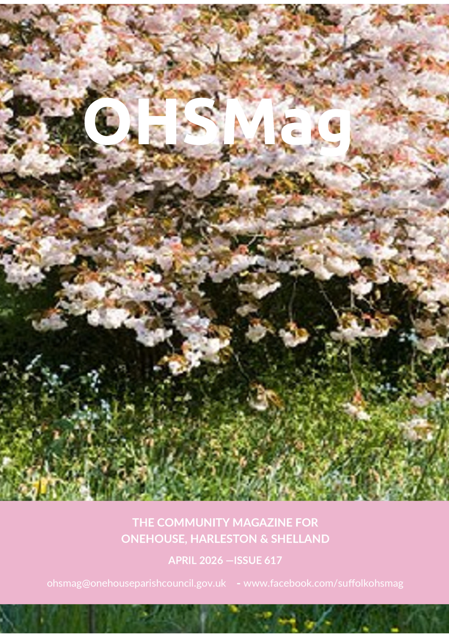 OHSMag