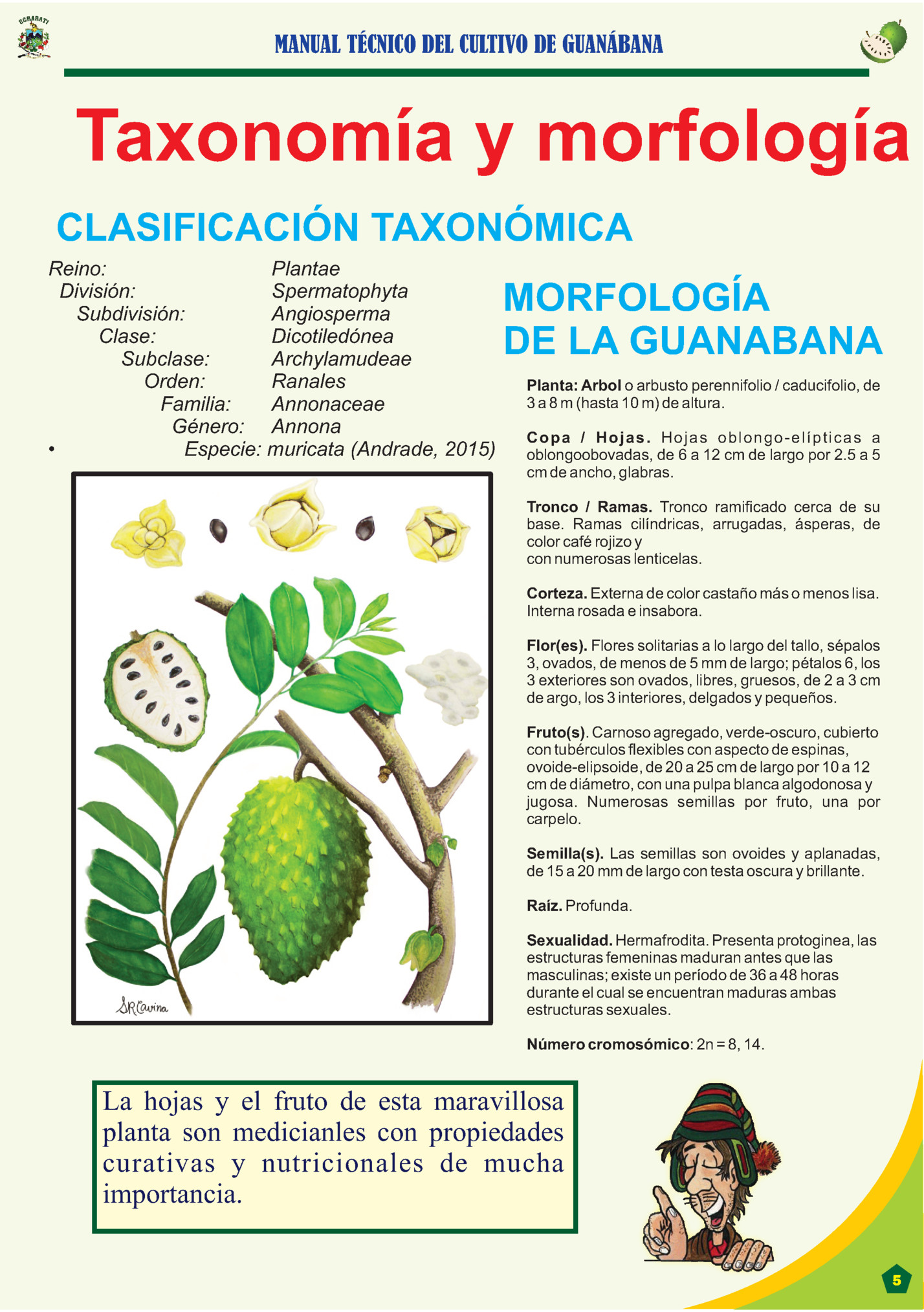 MANUAL TÉCNICO DEL CULTIVO DE GUANÁBANA