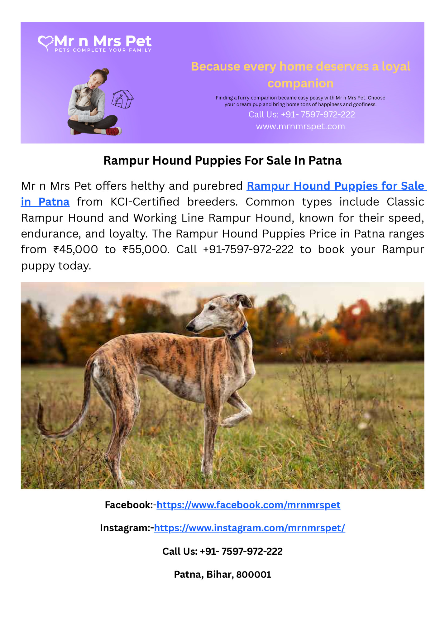 Because every home deserves a loyal Because every home deserves a loyal