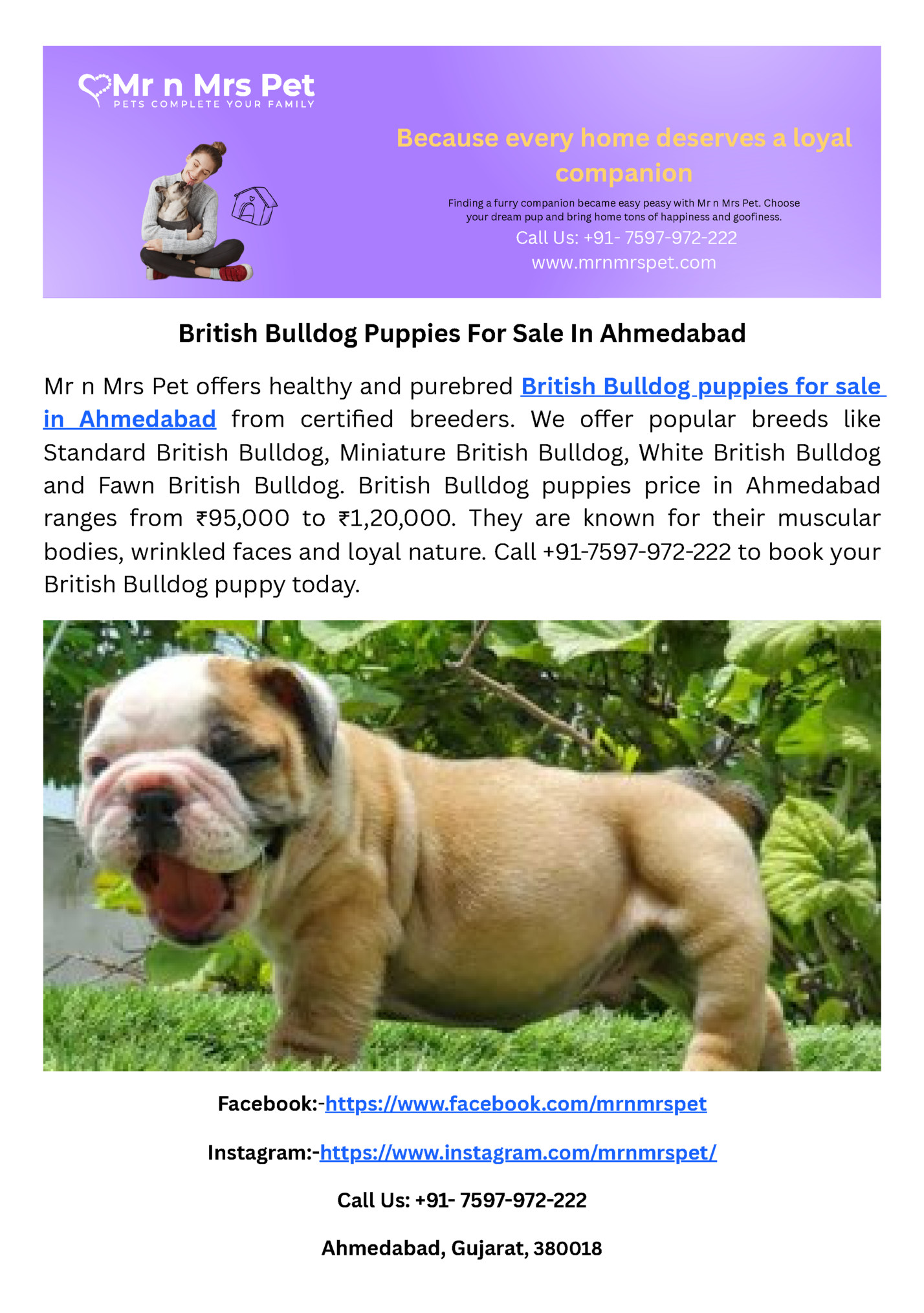 Because every home deserves a loyal