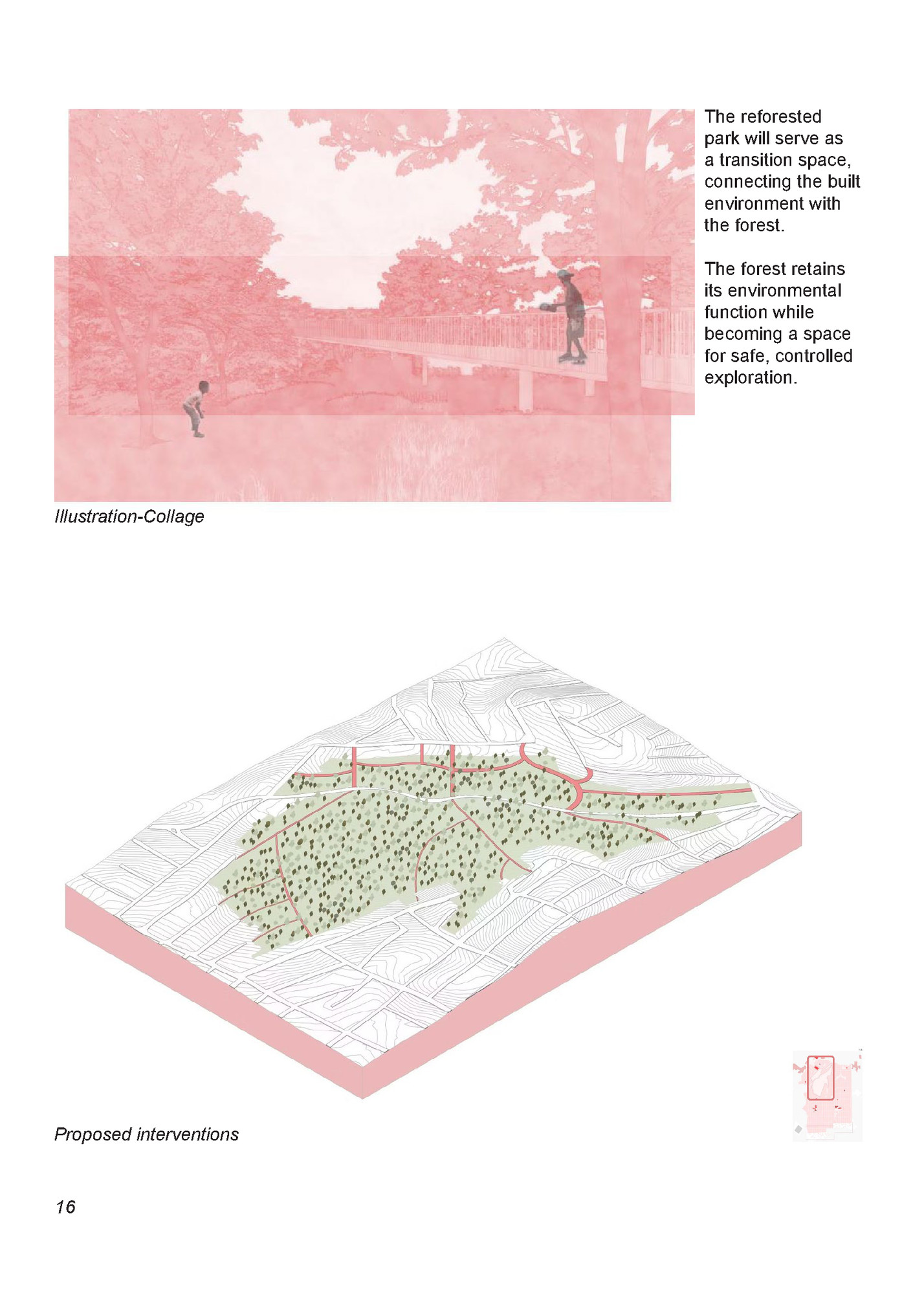 The reforested