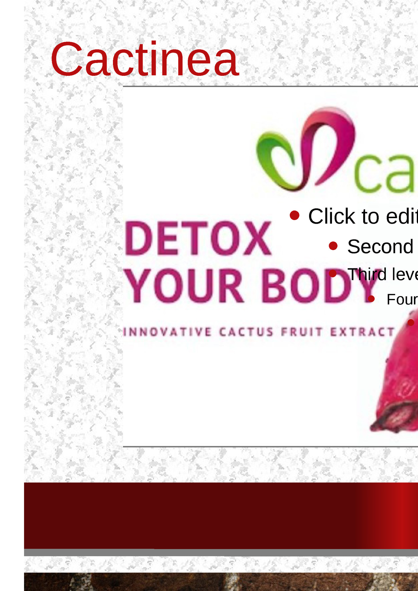 Cactinea