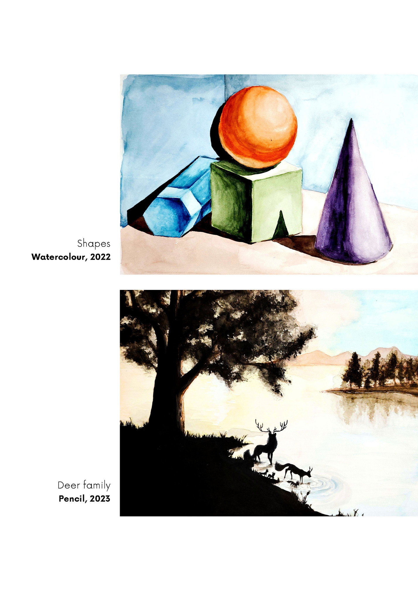 Shapes
