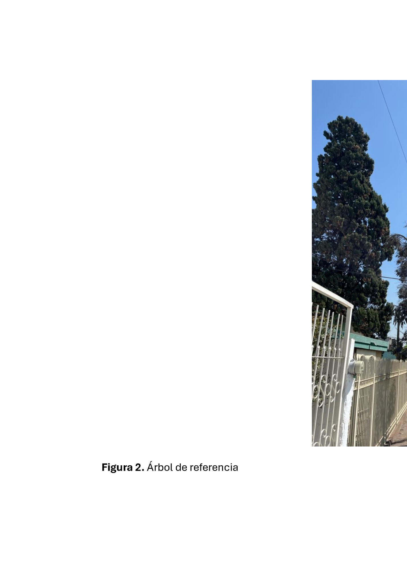 Figura 2. Árbol de referencia