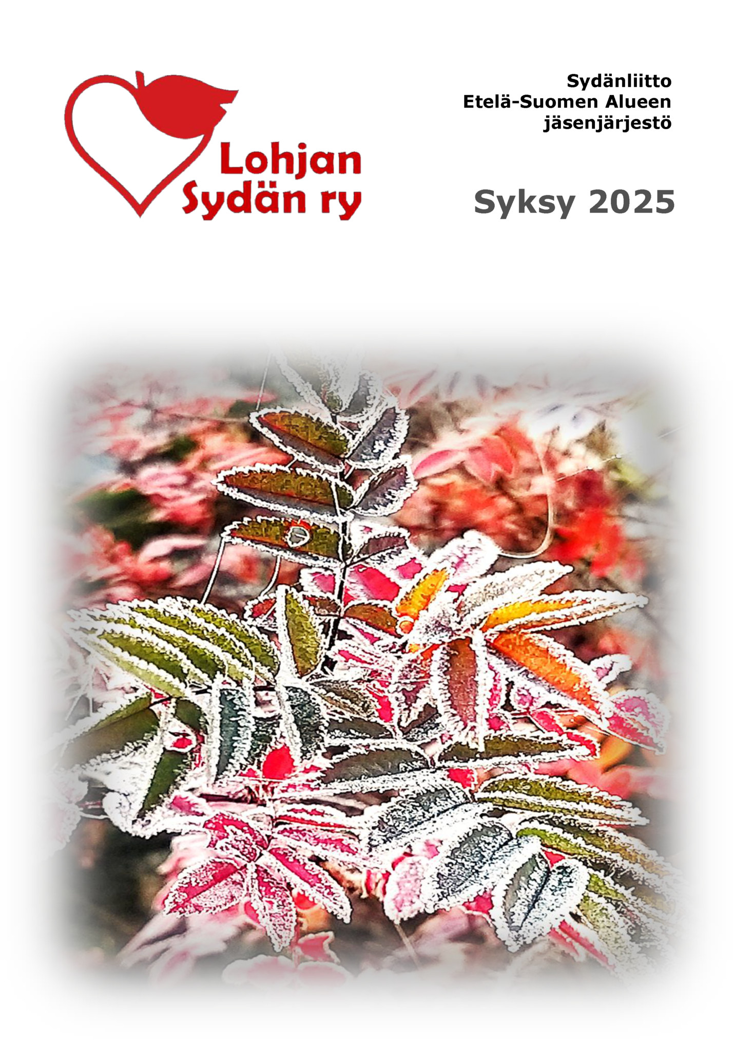 Sydänliitto