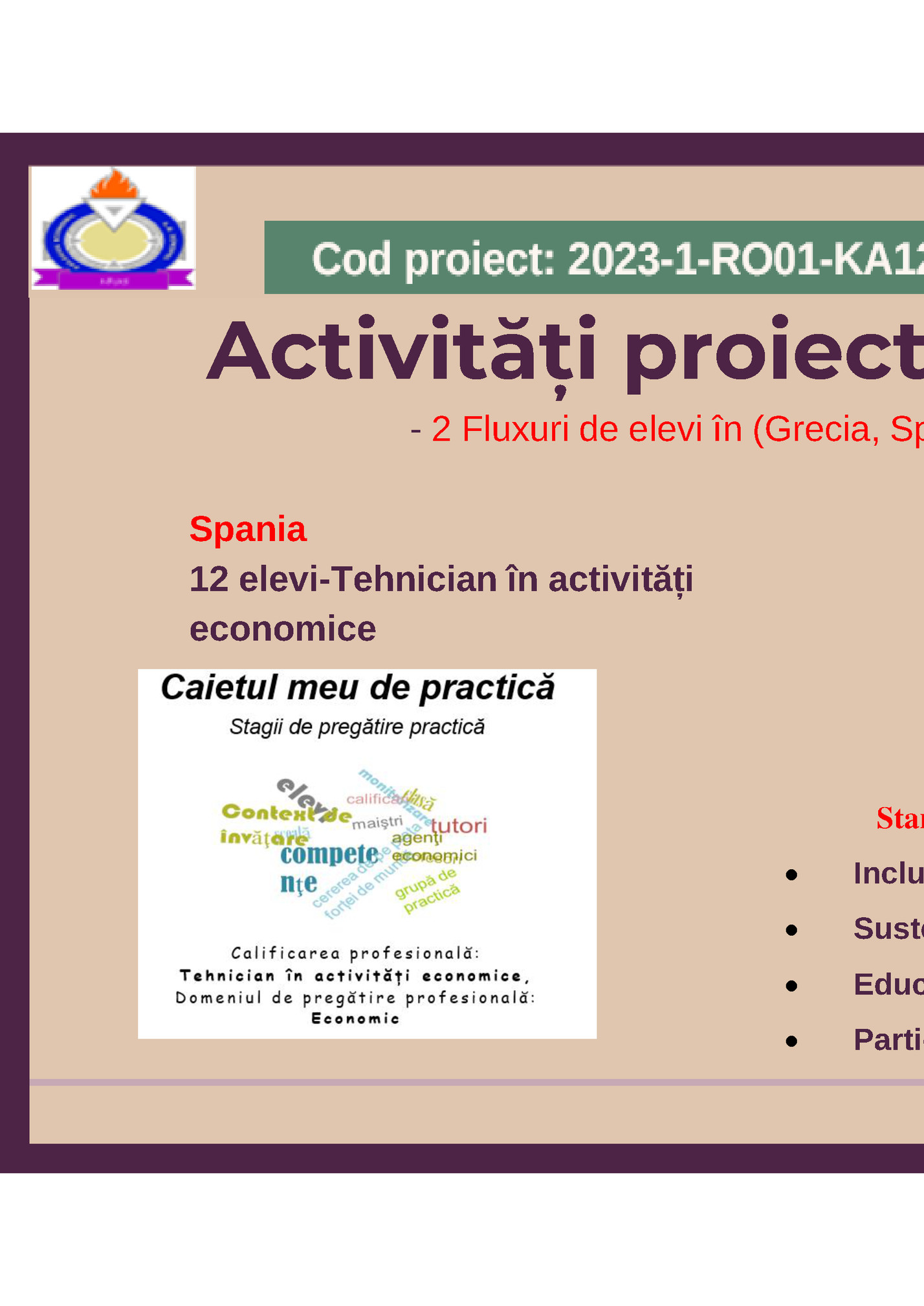 Activități proiect