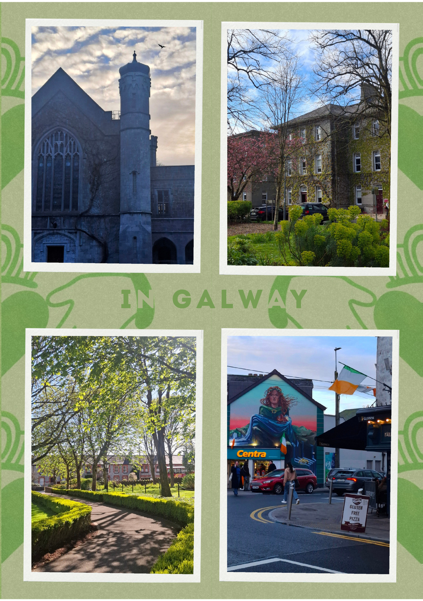 IN GALWAY