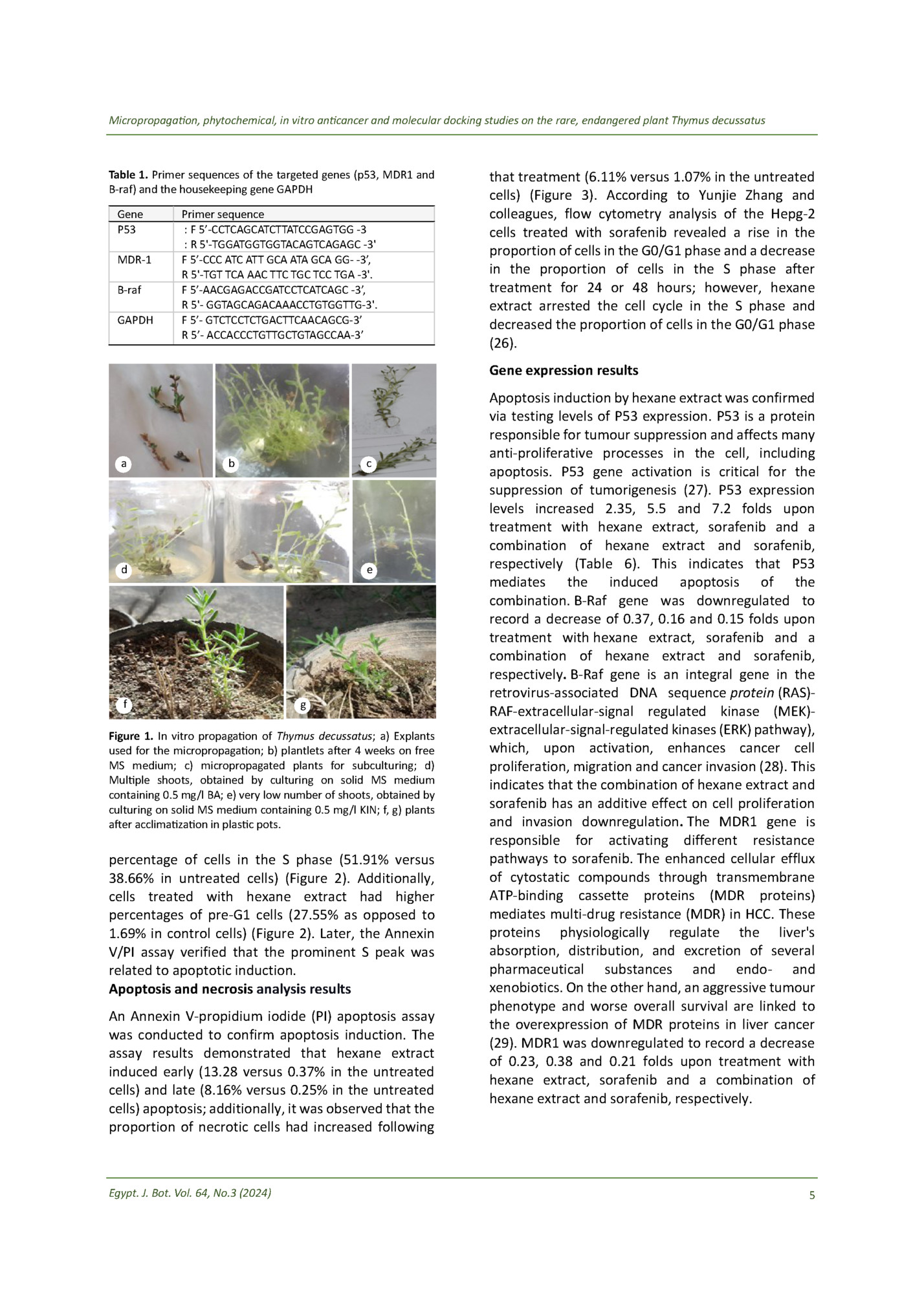 Micropropagation, phytochemical, in vitro anticancer and molecular docking studies on the rare, endangered plant Thymus decussatus