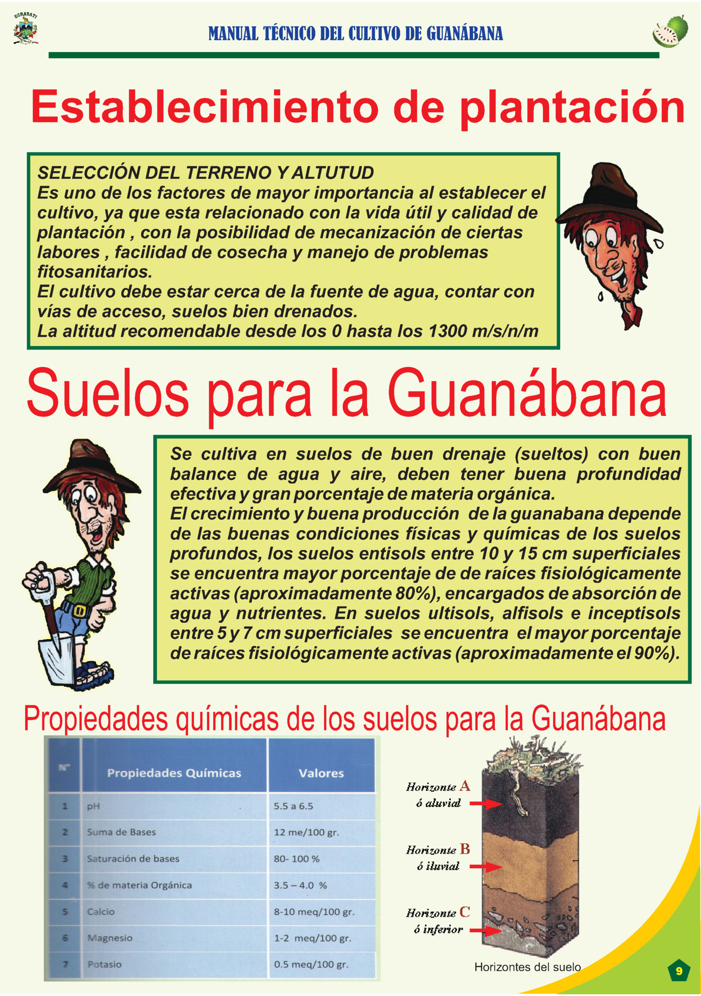 MANUAL TÉCNICO DEL CULTIVO DE GUANÁBANA