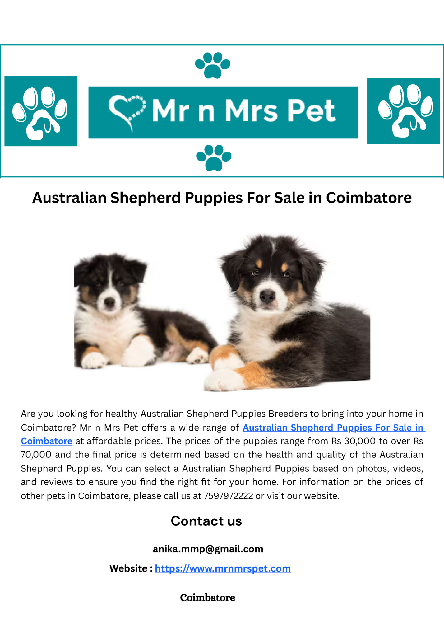 Australian Shepherd Puppies For Sale in Coimbatore