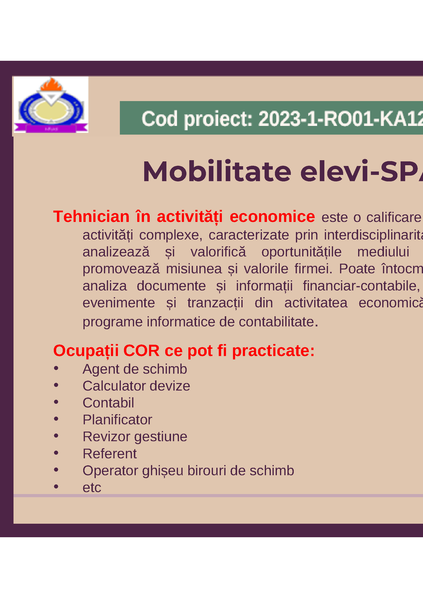 Mobilitate elevi-SPANIA