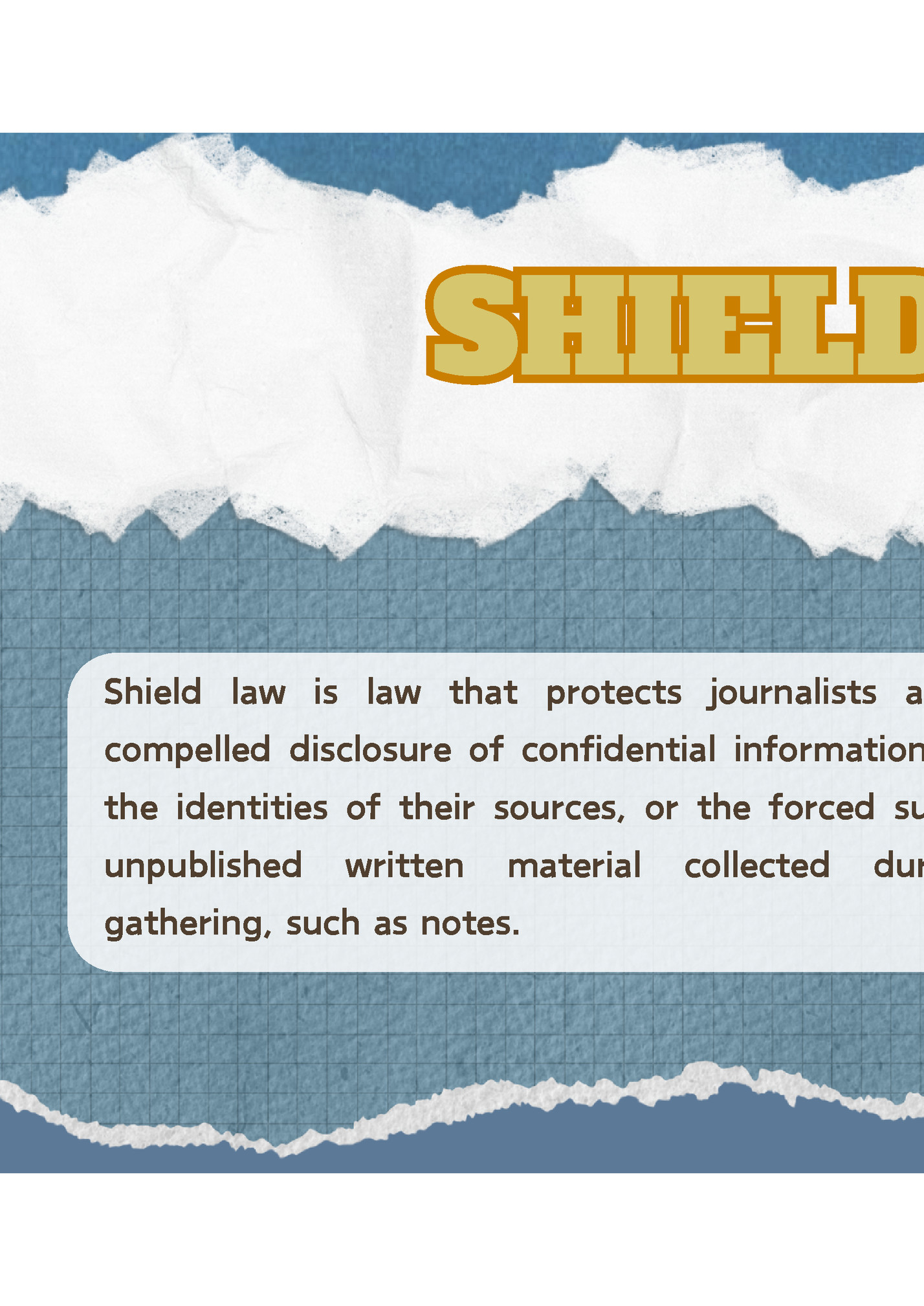 SHIELD LAW‌