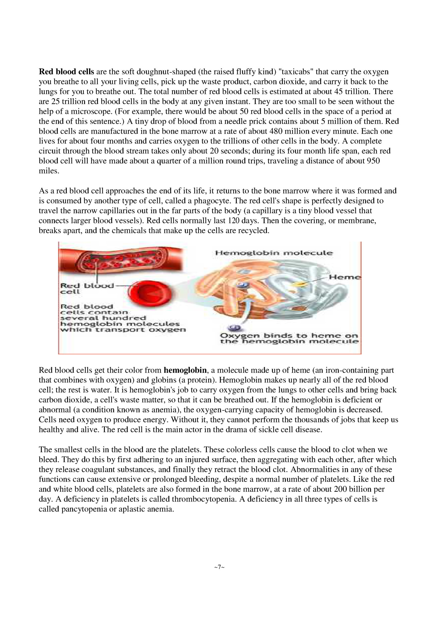 Red blood cells are the soft doughnut-shaped (the raised fluffy kind) taxicabs that carry the oxygen