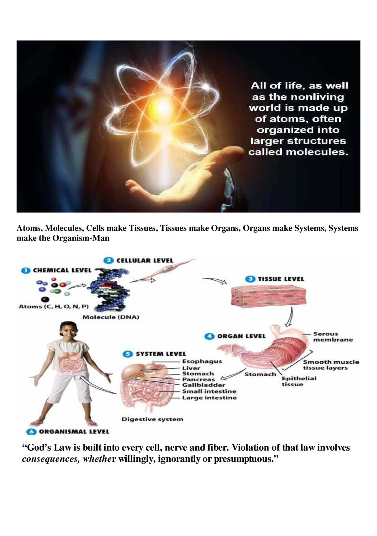 Atoms, Molecules, Cells make Tissues, Tissues make Organs, Organs make Systems, Systems