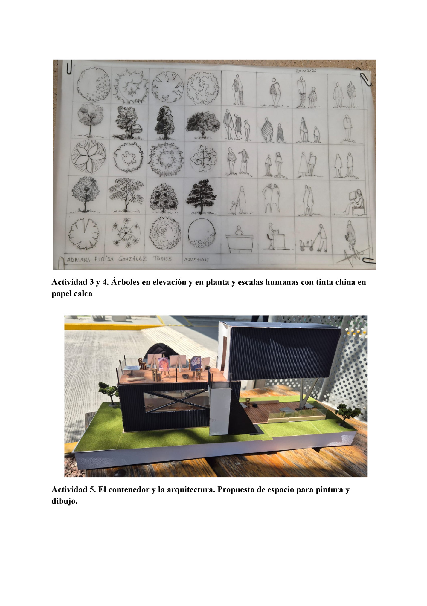 Actividad 3 y 4. Árboles en elevación y en planta y escalas humanas con tinta china en