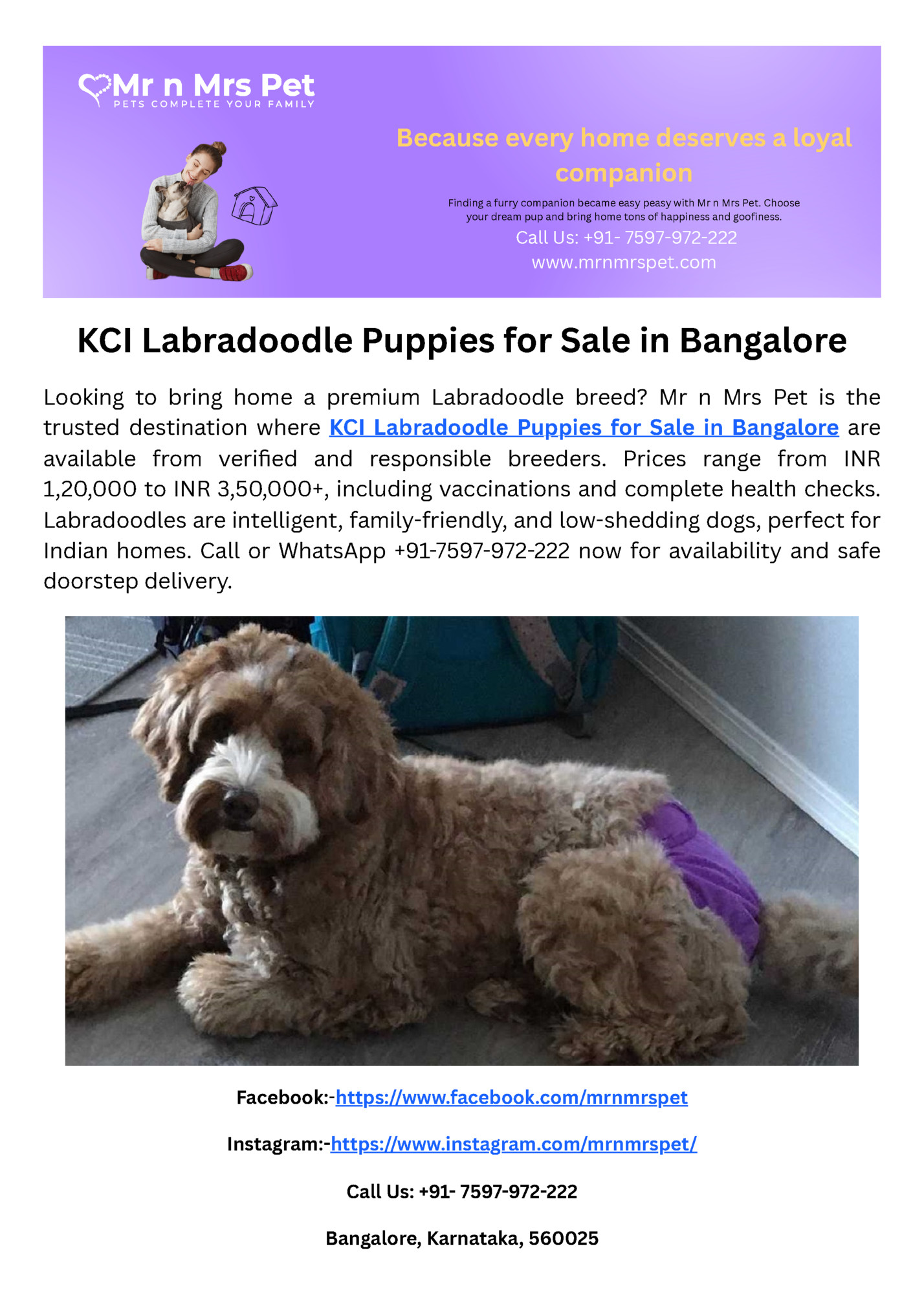 Because every home deserves a loyal Because every home deserves a loyal