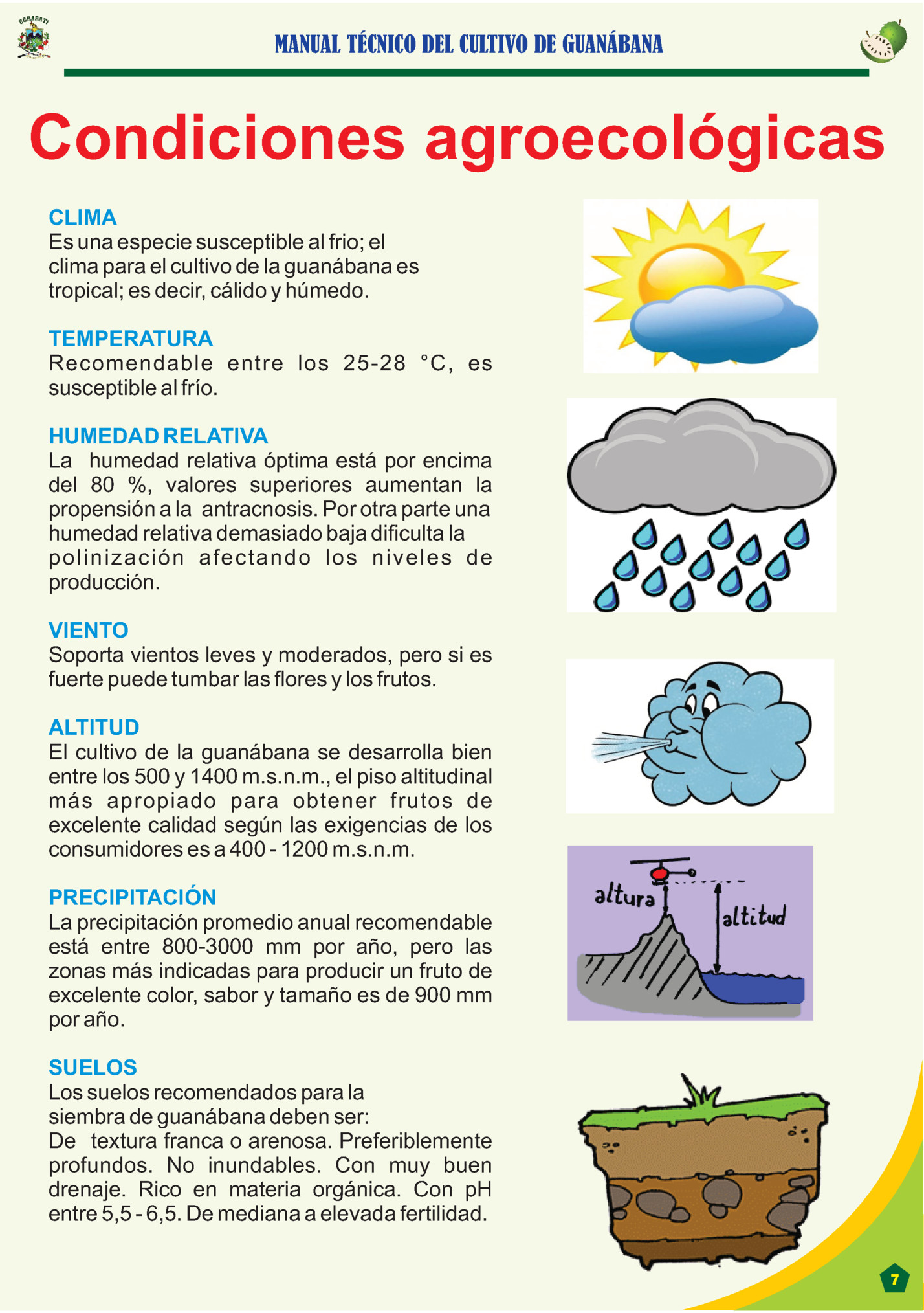 MANUAL TÉCNICO DEL CULTIVO DE GUANÁBANA