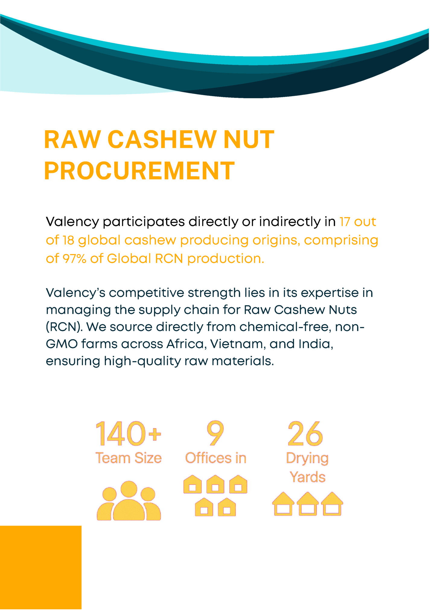 RAW CASHEW NUT