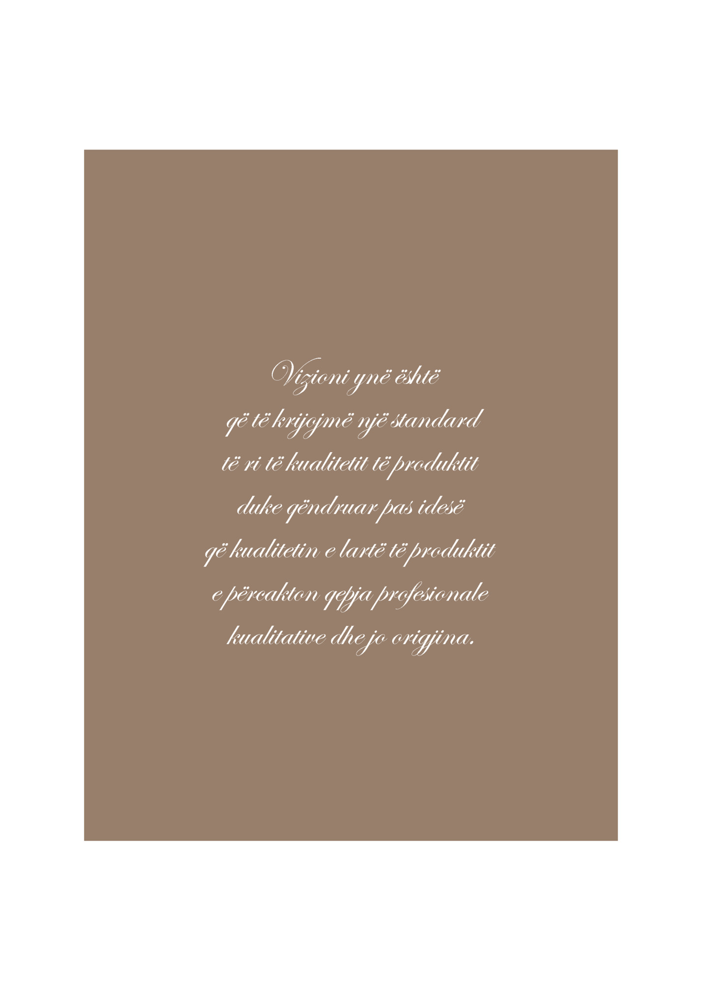 Vizioni ynë është