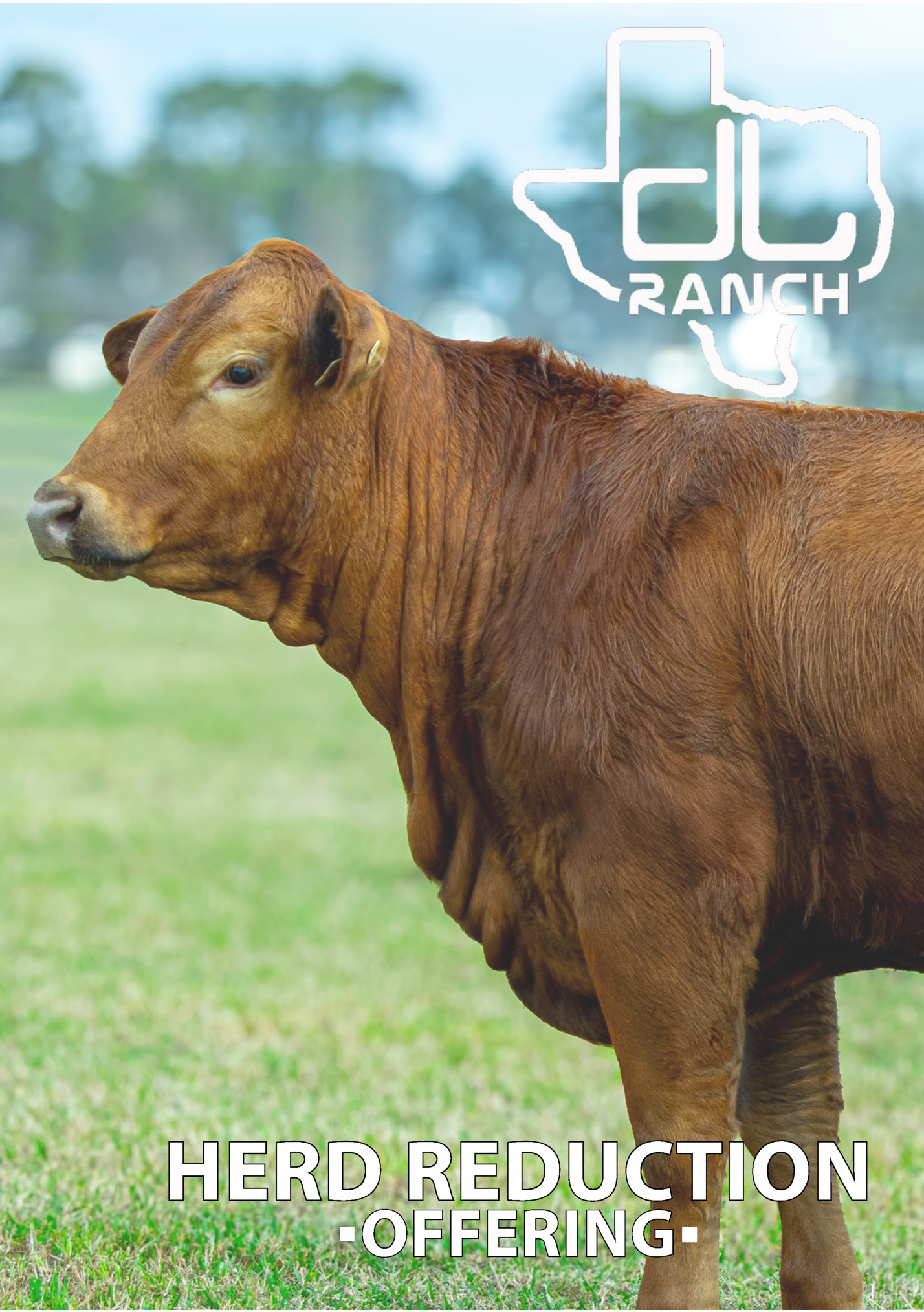 HERD REDUCTION HERD REDUCTION