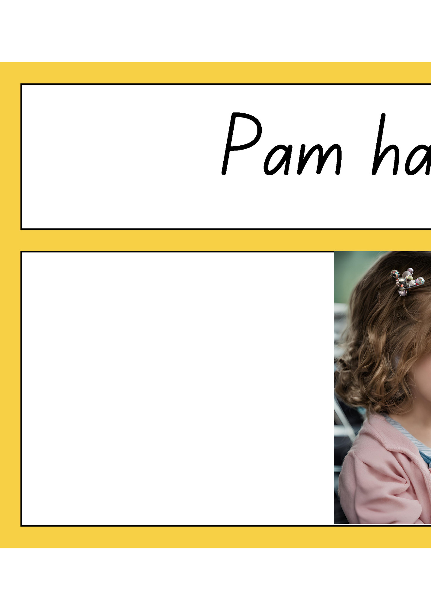 Pam had a pin. Pam had a pin.