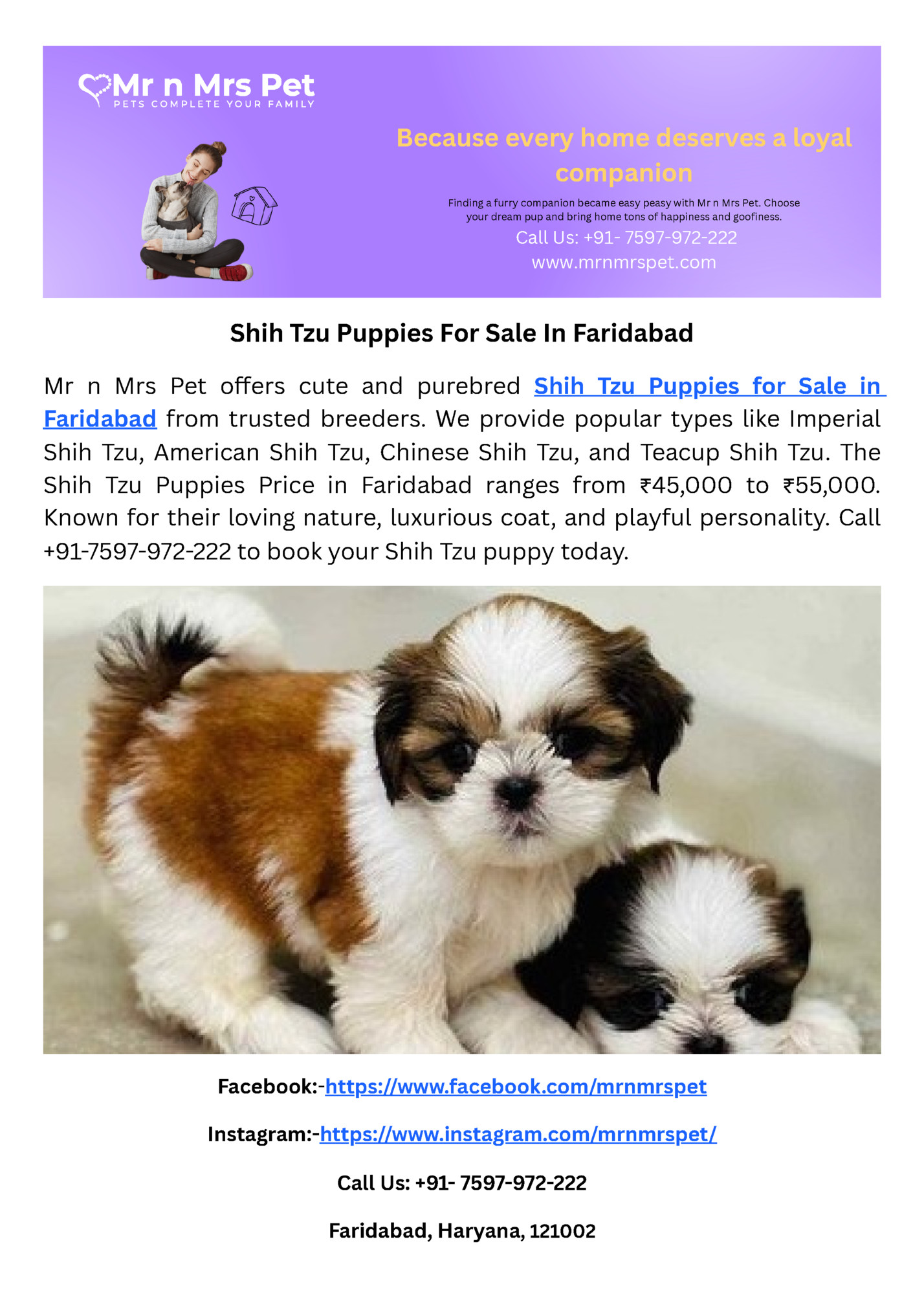 Because every home deserves a loyal Because every home deserves a loyal