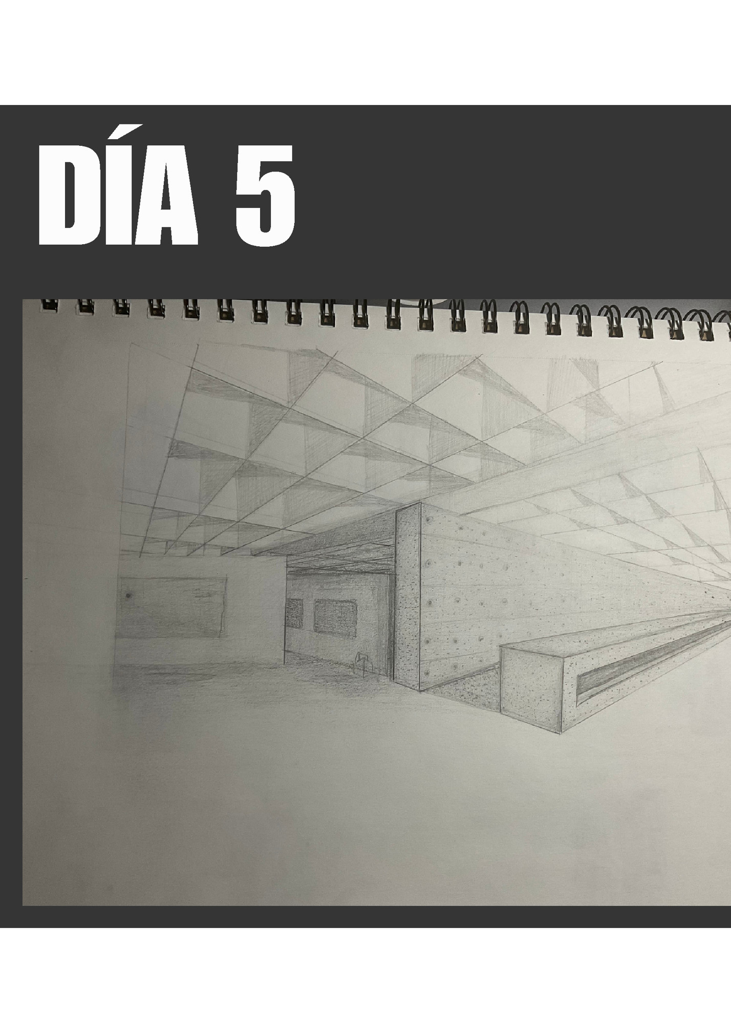 DÍA 5 DÍA 5
