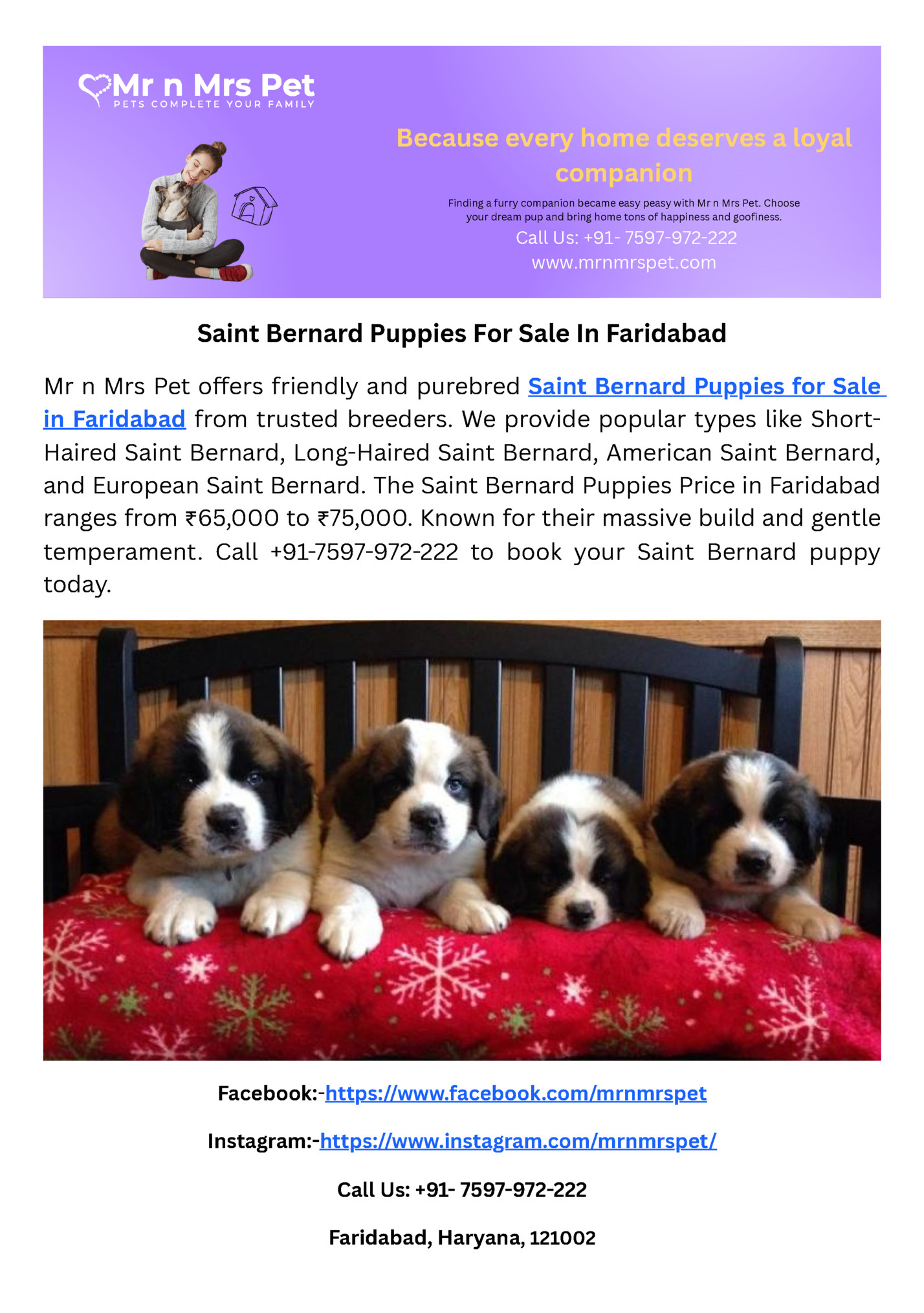 Because every home deserves a loyal