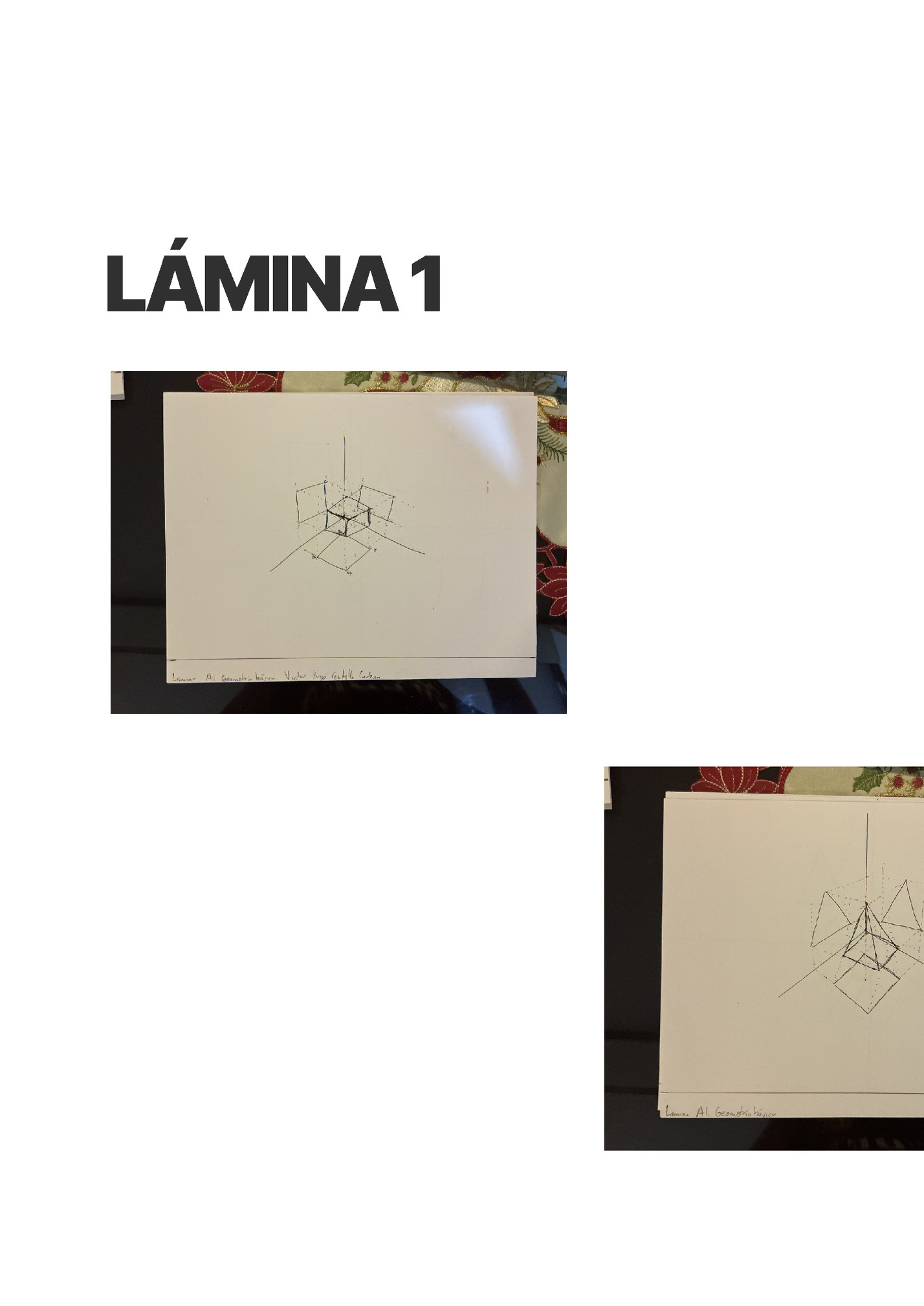 LÁMINA 1
