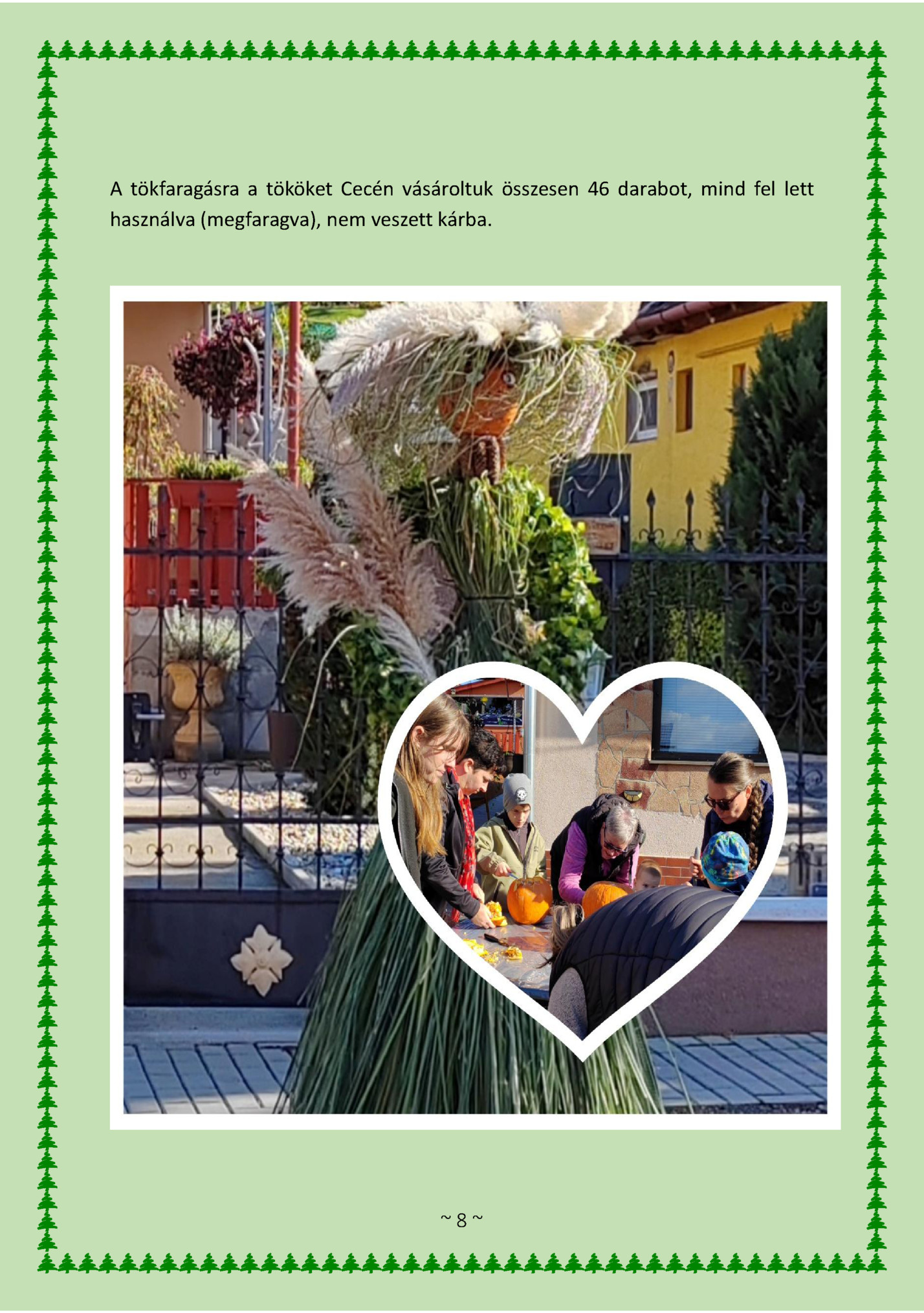 A tökfaragásra a tököket Cecén vásároltuk összesen 46 darabot, mind fel lett