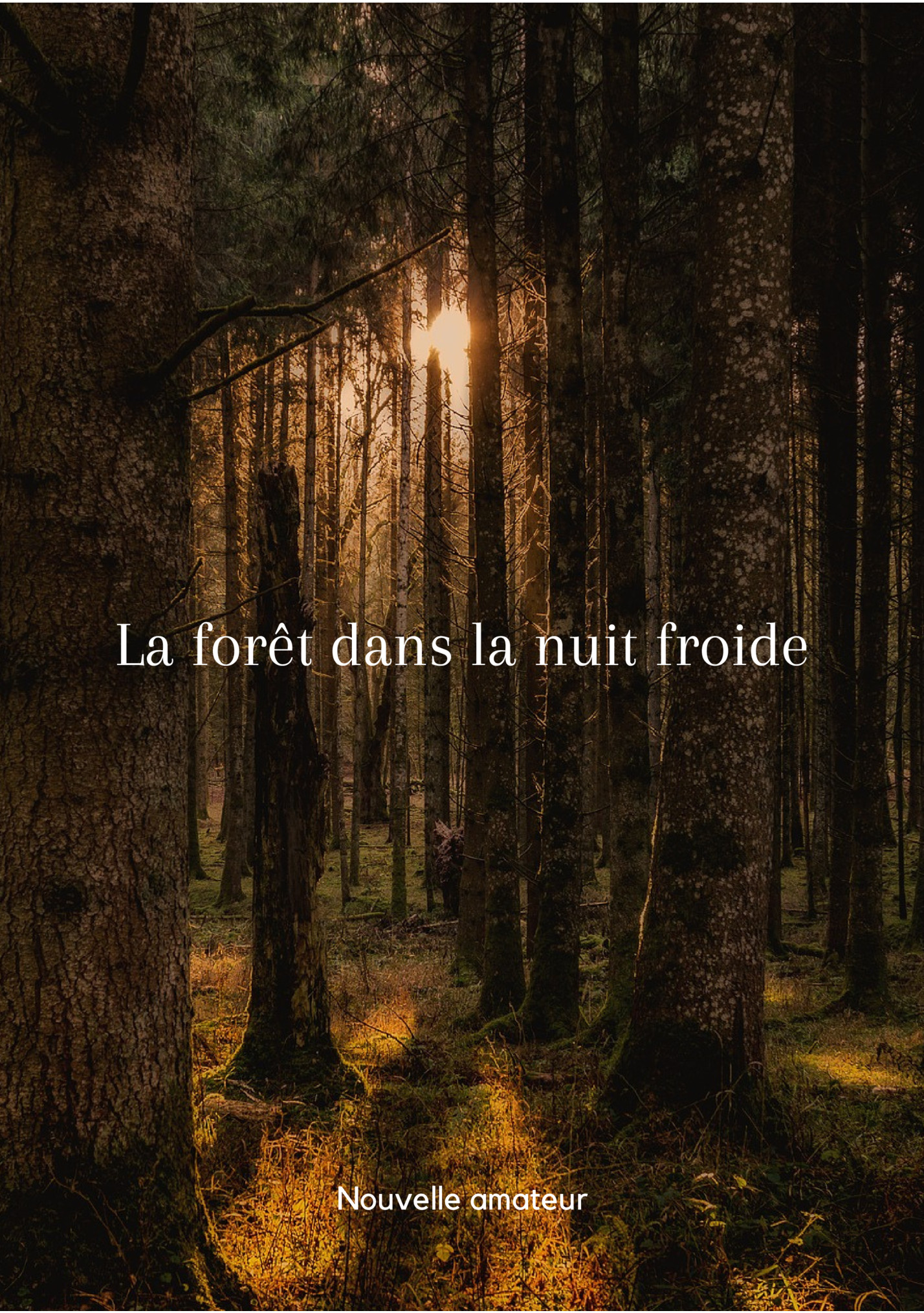 La forêt dans la nuit froide