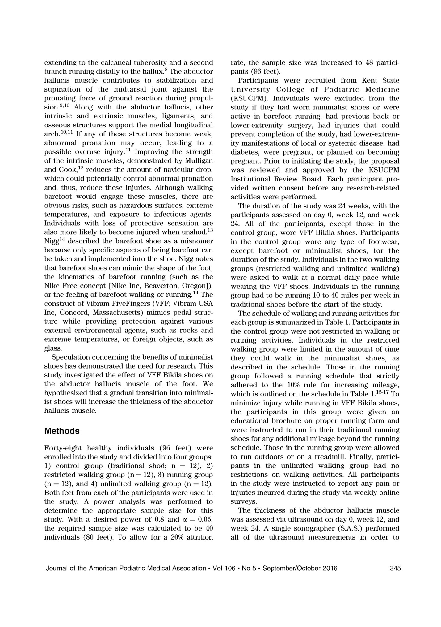 extending to the calcaneal tuberosity and a second