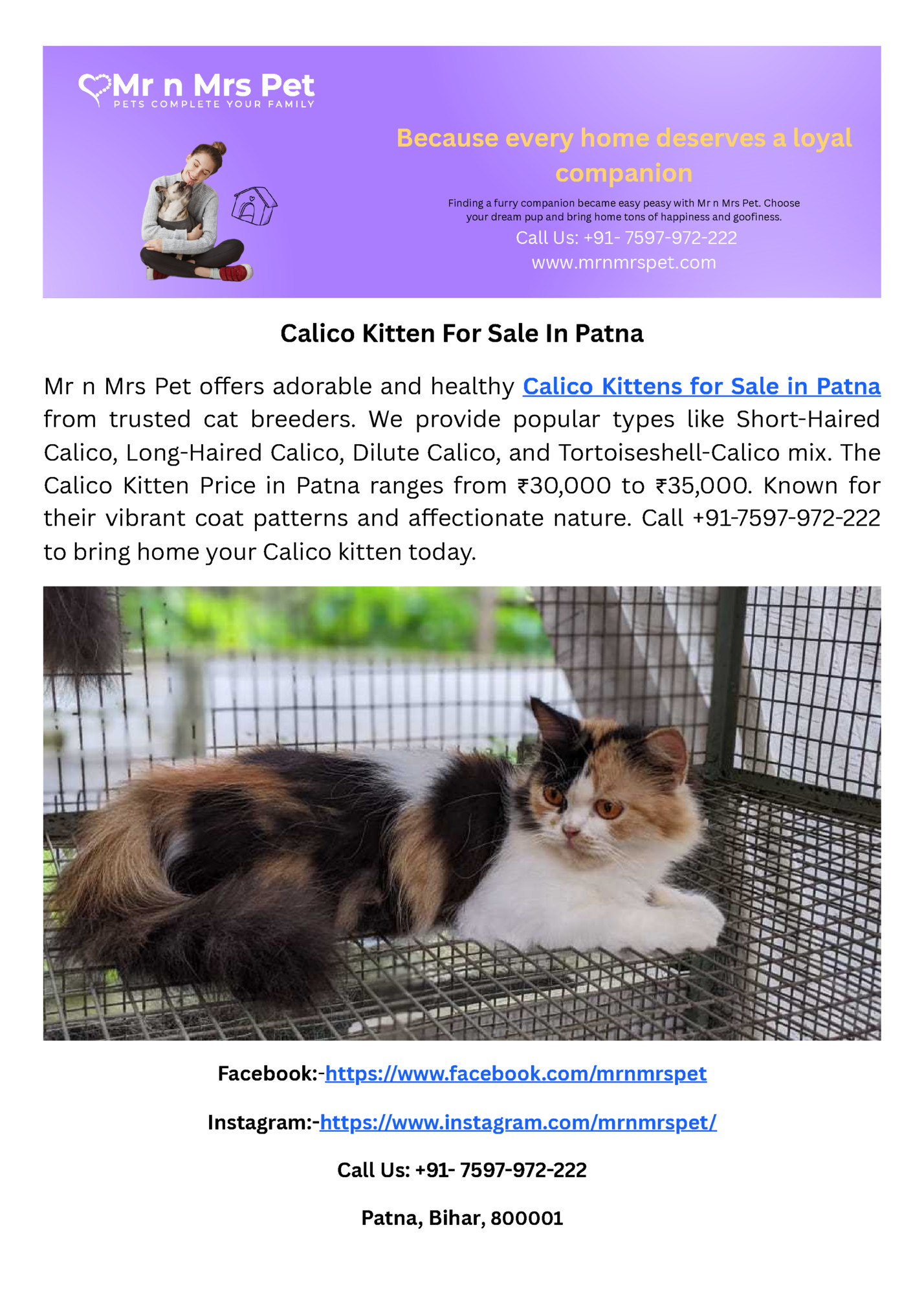 Because every home deserves a loyal