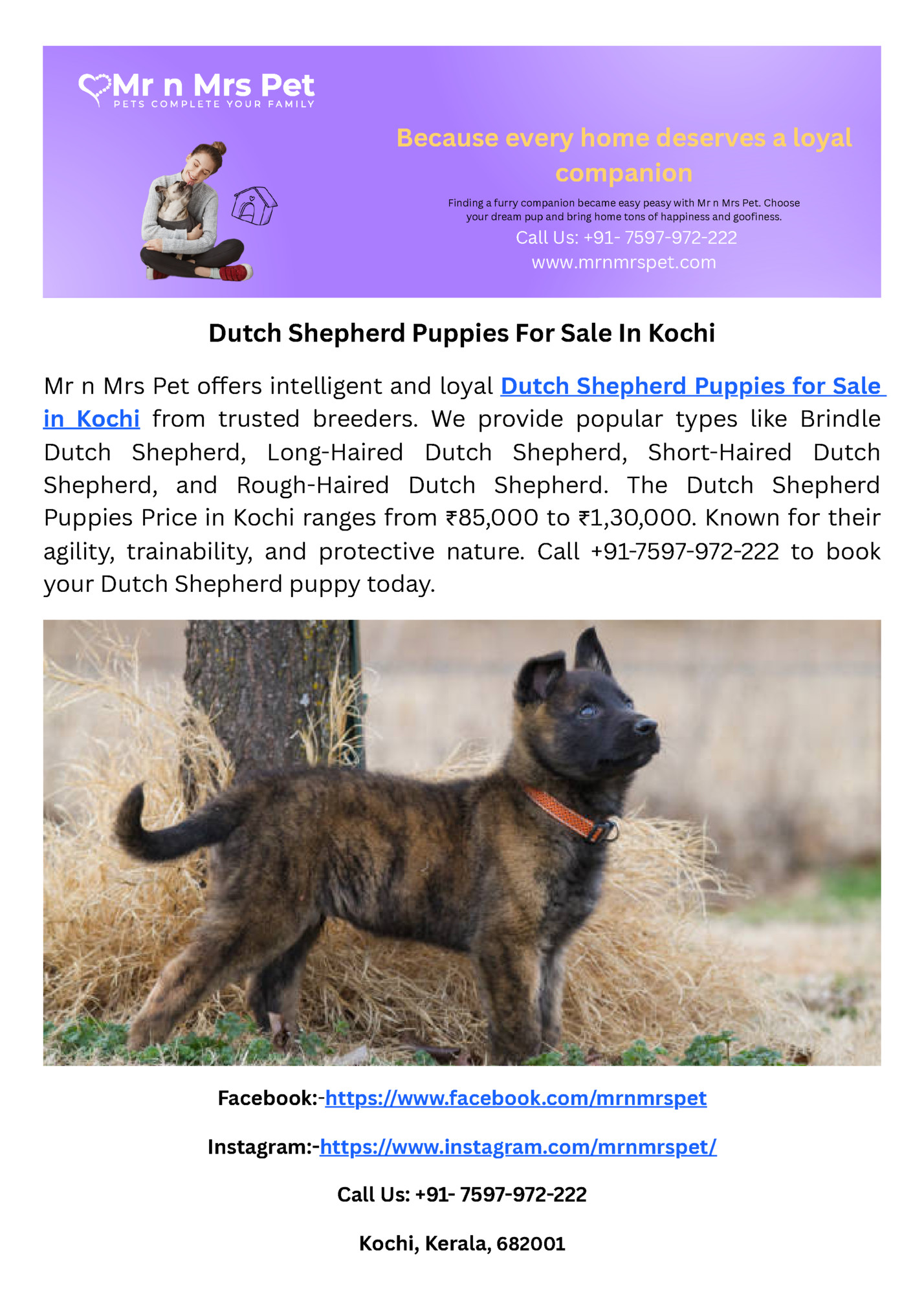 Because every home deserves a loyal Because every home deserves a loyal