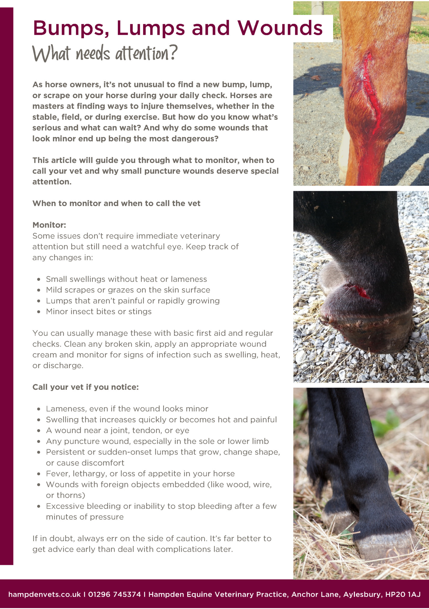 Bumps, Lumps and Wounds Bumps, Lumps and Wounds