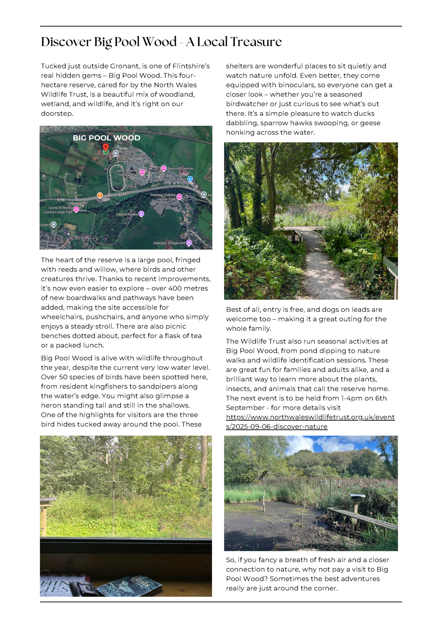 Discover Big Pool Wood - A Local Treasure