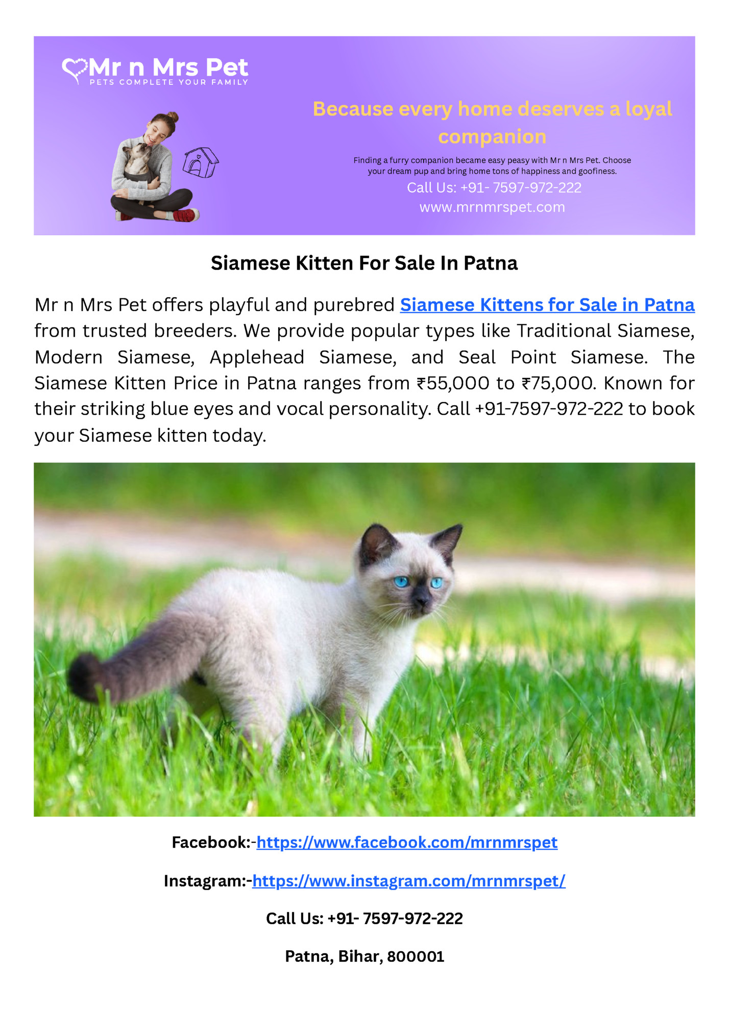 Because every home deserves a loyal