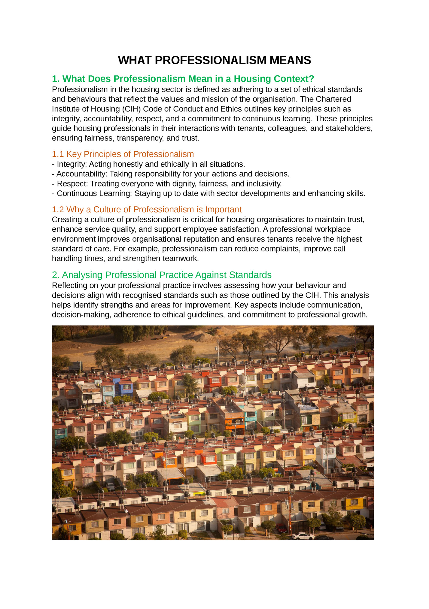 WHAT PROFESSIONALISM MEANS