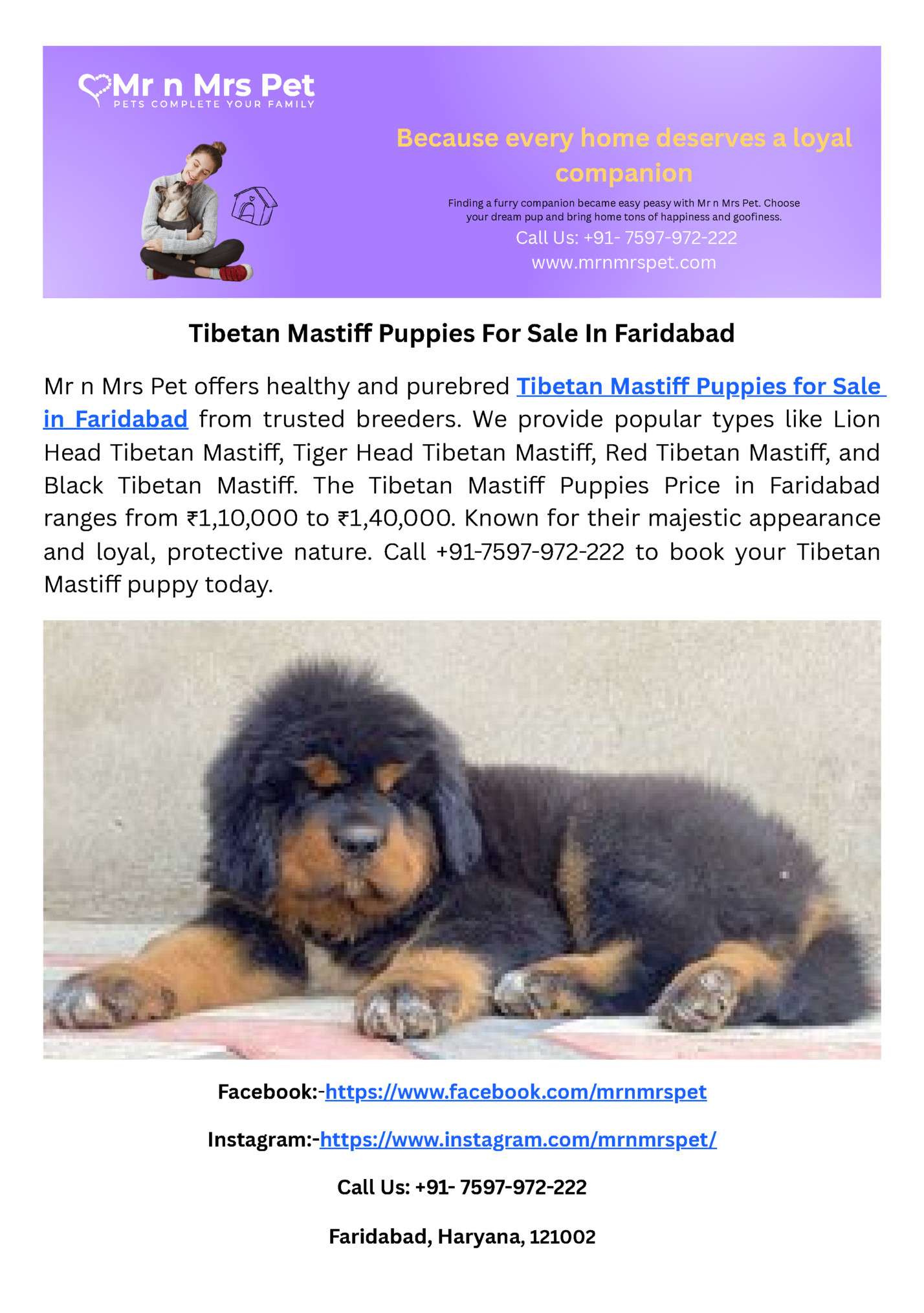 Because every home deserves a loyal