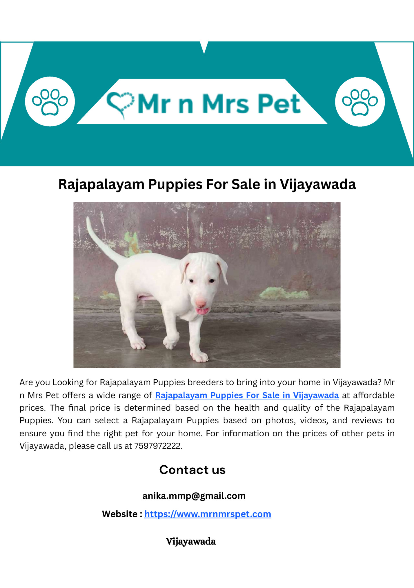 Rajapalayam Puppies For Sale in Vijayawada