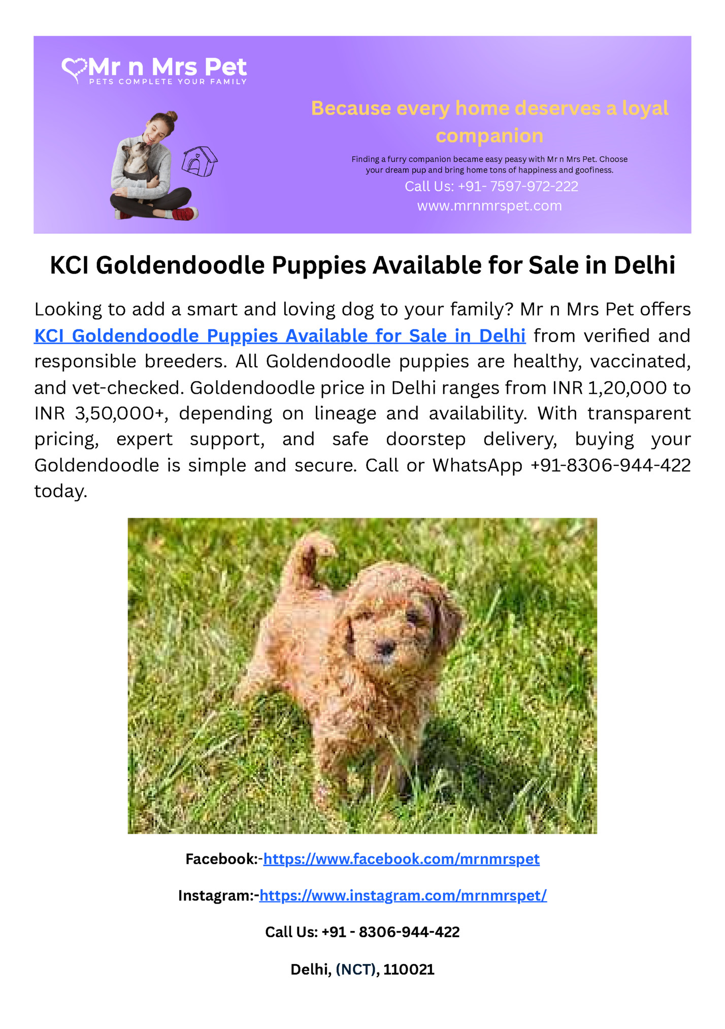 Because every home deserves a loyal