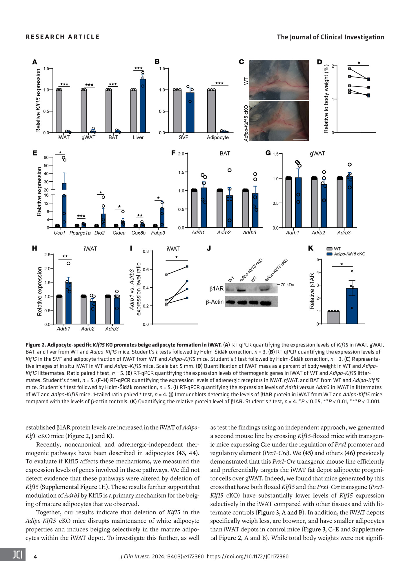 RESEARCH ARTICLE