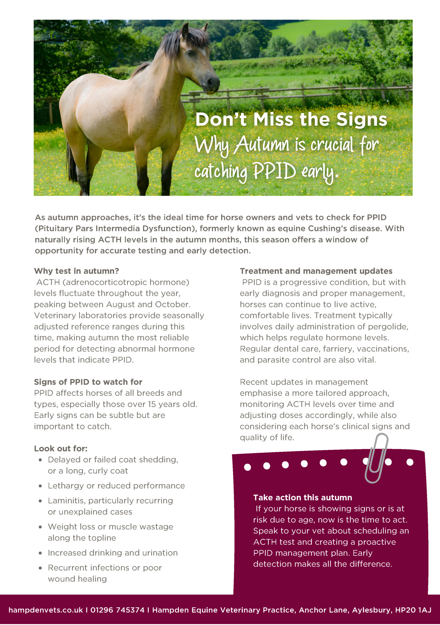 As autumn approaches, it’s the ideal time for horse owners and vets to check for PPID