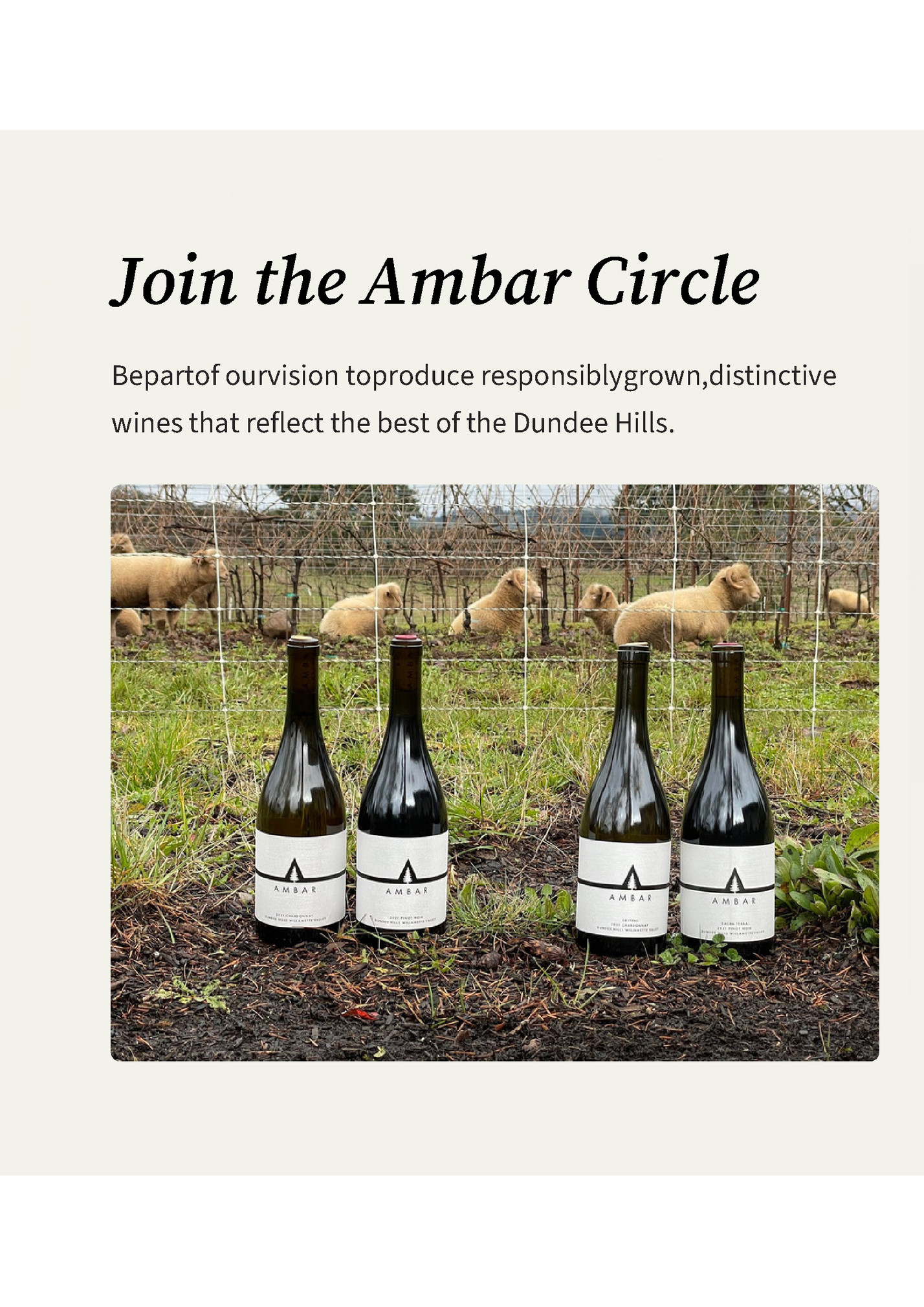 Join the Ambar Circle